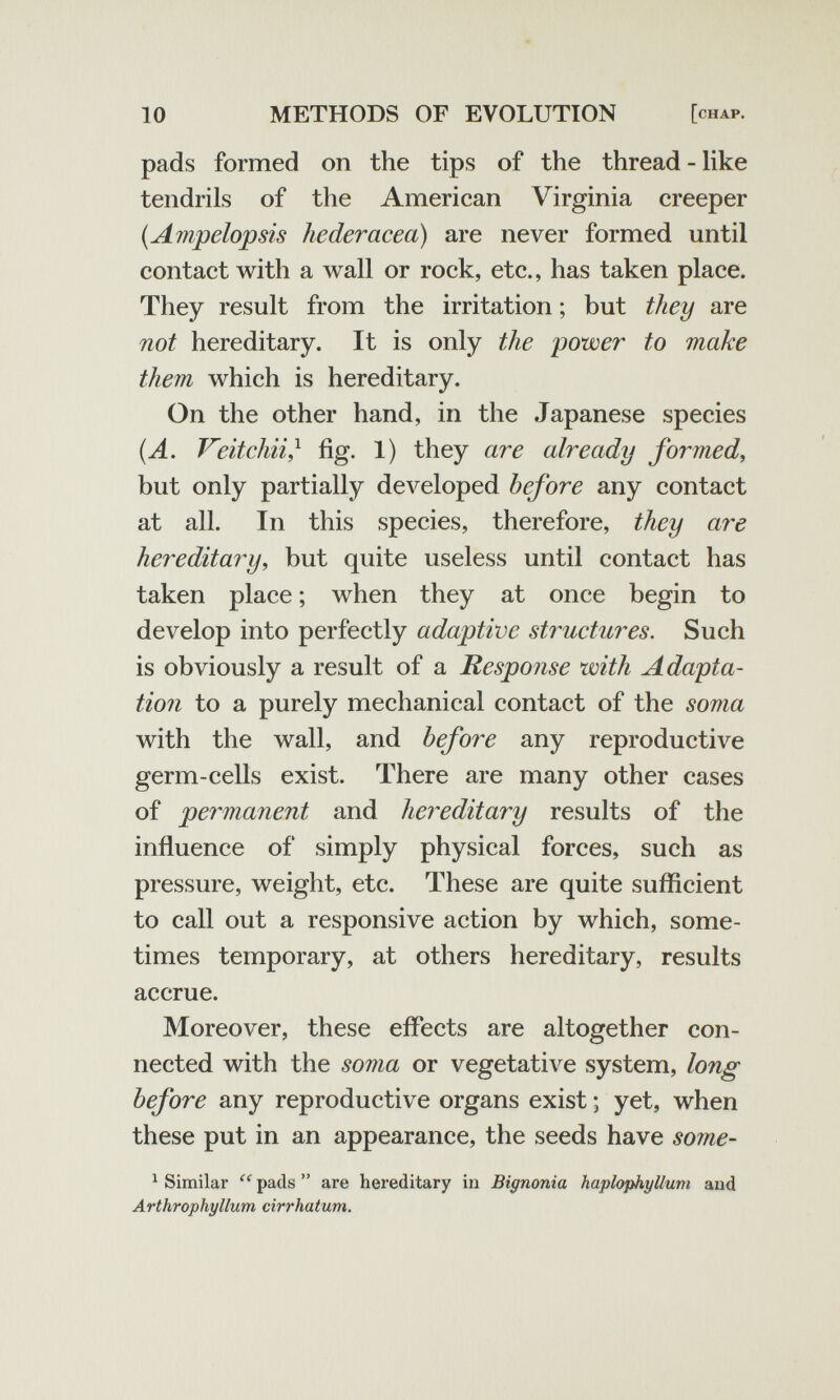 10 METHODS OF EVOLUTION [chap. pads formed on the tips of the thread-like tendrils of the American Virginia creeper {Ampélopsis hederacea) are never formed until contact with a wall or rock, etc., has taken place. They result from the irritation ; but they are not hereditary. It is only the power to make them which is hereditary. On the other hand, in the Japanese species (A. Veitchii,^ fig. 1) they are already formed^ but only partially developed before any contact at all. In this species, therefore, they are hereditary, but quite useless until contact has taken place ; when they at once begin to develop into perfectly adaptive structures. Such is obviously a result of a Response with Adapta¬ tion to a purely mechanical contact of the soma with the wall, and before any reproductive germ-cells exist. There are many other cases of permanent and hereditary results of the influence of simply physical forces, such as pressure, weight, etc. These are quite sufficient to call out a responsive action by which, some¬ times temporary, at others hereditary, results accrue. Moreover, these effects are altogether con¬ nected with the soma or vegetative system, long before any reproductive organs exist ; yet, when these put in an appearance, the seeds have some- ^ Similar  pads  are hereditary in Bignonia haplophyllum and Arthrophyllum cirrhatum.