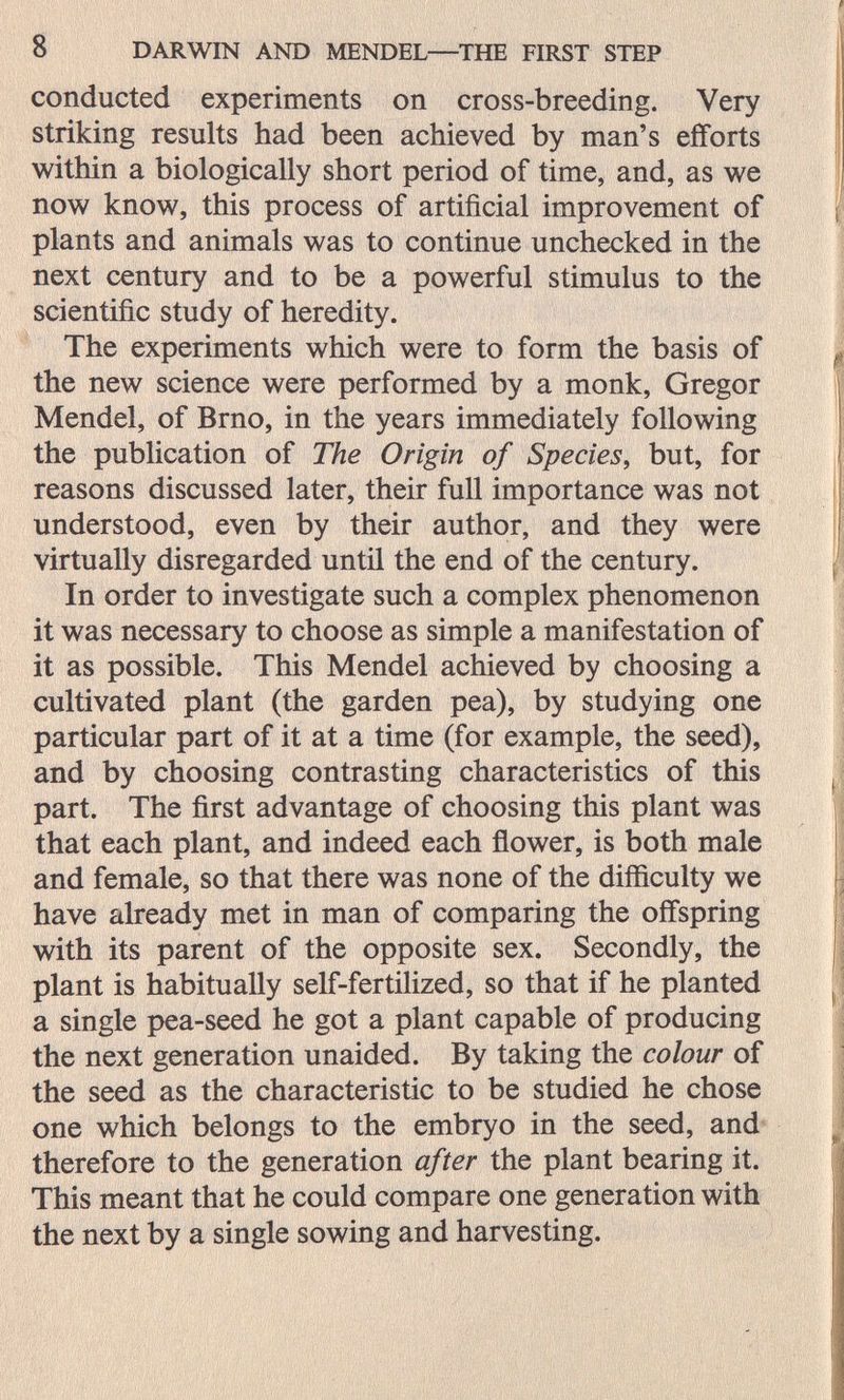 8 DARWIN AND MENDEL—THE FIRST STEP conducted experiments on cross-breeding. Very striking results had been achieved by man's efforts within a biologically short period of time, and, as we now know, this process of artificial improvement of plants and animals was to continue unchecked in the next century and to be a powerful stimulus to the scientific study of heredity. The experiments which were to form the basis of the new science were performed by a monk, Gregor Mendel, of Brno, in the years immediately following the publication of The Origin of Species, but, for reasons discussed later, their full importance was not understood, even by their author, and they were virtually disregarded until the end of the century. In order to investigate such a complex phenomenon it was necessary to choose as simple a manifestation of it as possible. This Mendel achieved by choosing a cultivated plant (the garden pea), by studying one particular part of it at a time (for example, the seed), and by choosing contrasting characteristics of this part. The first advantage of choosing this plant was that each plant, and indeed each ñower, is both male and female, so that there was none of the difficulty we have already met in man of comparing the offspring with its parent of the opposite sex. Secondly, the plant is habitually self-fertilized, so that if he planted a single pea-seed he got a plant capable of producing the next generation unaided. By taking the colour of the seed as the characteristic to be studied he chose one which belongs to the embryo in the seed, and therefore to the generation after the plant bearing it. This meant that he could compare one generation with the next by a single sowing and harvesting.