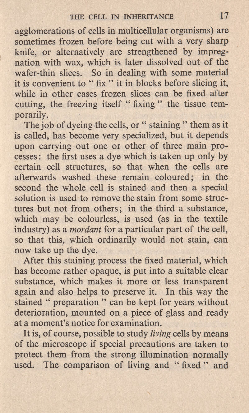 THE CELL IN INHERITANCE 17 agglomerations of cells in multicellular organisms) are sometimes frozen before being cut with a very sharp knife, or alternatively are strengthened by impreg¬ nation with wax, which is later dissolved out of the wafer-thin slices. So in dealing with some material it is convenient to  fix  it in blocks before shcing it, while in other cases frozen sUces can be fixed after cutting, the freezing itself  fixing  the tissue tem¬ porarily. The job of dyeing the cells, or  staining  them as it is called, has become very specialized, but it depends upon carrying out one or other of three main pro¬ cesses : the first uses a dye which is taken up only by certain cell structures, so that when the cells are afterwards washed these remain coloured; in the second the whole cell is stained and then a special solution is used to remove the stain from some struc¬ tures but not from others; in the third a substance, which may be colourless, is used (as in the textile industry) as a mordant for a particular part of the cell, so that this, which ordinarily would not stain, can now take up the dye. After this staining process the fixed material, which has become rather opaque, is put into a suitable clear substance, which makes it more or less transparent again and also helps to preserve it. In this way the stained  preparation  can be kept for years without deterioration, mounted on a piece of glass and ready at a moment's notice for examination. It is, of course, possible to study living cells by means of the microscope if special precautions are taken to protect them from the strong illumination normally used. The comparison of living and fixed  and л