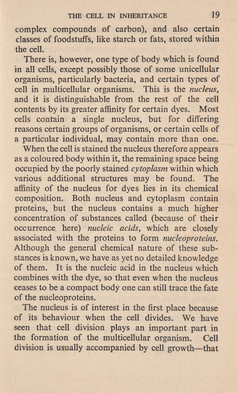 THE CELL IN INHERITANCE 19 complex compounds of carbon), and also certain classes of foodstuffs, like starch or fats, stored within the cell. There is, however, one type of body which is found in all cells, except possibly those of some unicellular organisms, particularly bacteria, and certain types of cell in multicellular organisms. This is the nucleus, and it is distinguishable from the rest of the cell contents by its greater affinity for certain dyes. Most cells contain a single nucleus, but for differing reasons certain groups of organisms, or certain cells of a particular individual, may contain more than one. When the cell is stained the nucleus therefore appears as a coloured body within it, the remaining space being occupied by the poorly stained cytoplasm within which various additional structures may be found. The affinity of the nucleus for dyes lies in its chemical composition. Both nucleus and cytoplasm contain proteins, but the nucleus contains a much higher concentration of substances called (because of their occurrence, here) nucleic acids, which are closely associated with the proteins to form nucleoproteins. Although the general chemical nature of these sub¬ stances is known, we have as yet no detailed knowledge of them. It is the nucleic acid in the nucleus which combines with the dye, so that even when the nucleus ceases to be a compact body one can still trace the fate of the nucleoproteins. The nucleus is of interest in the first place because of its behaviour when the cell divides. We have seen that cell division plays an important part in the formation of the multicellular organism. Cell division is usually accompanied by cell growth—that