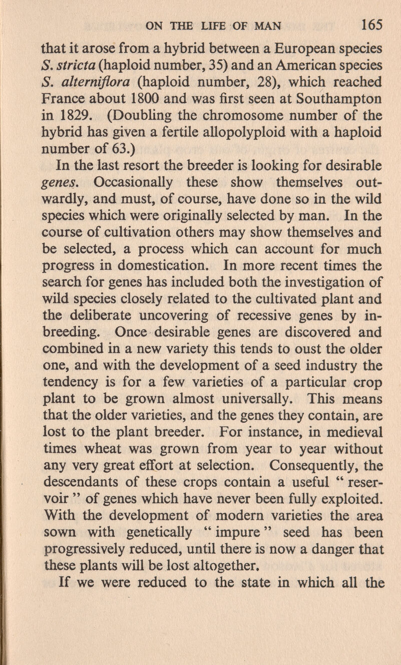 ON THE LIFE OF MAN 165 that it arose from a hybrid between a European species S. s trie ta (haploid number, 35) and an American species S. alterniflora (haploid number, 28), which reached France about 1800 and was first seen at Southampton in 1829. (Doubhng the chromosome number of the hybrid has given a fertile allopolyploid with a haploid number of 63.) In the last resort the breeder is looking for desirable genes. Occasionally these show themselves out¬ wardly, and must, of course, have done so in the wild species which were originally selected by man. In the course of cultivation others may show themselves and be selected, a process which can account for much progress in domestication. In more recent times the search for genes has included both the investigation of wild species closely related to the cultivated plant and the dehberate uncovering of recessive genes by in¬ breeding. Once desirable genes are discovered and combined in a new variety this tends to oust the older one, and with the development of a seed industry the tendency is for a few varieties of a particular crop plant to be grown almost universally. This means that the older varieties, and the genes they contain, are lost to the plant breeder. For instance, in medieval times wheat was grown from year to year without any very great effort at selection. Consequently, the descendants of these crops contain a useful  reser¬ voir  of genes which have never been fully exploited. With the development of modern varieties the area sown with genetically  impure  seed has been progressively reduced, until there is now a danger that these plants will be lost altogether. If we were reduced to the state in which all the