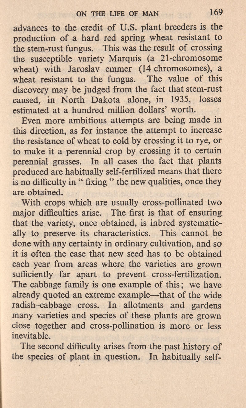 ON THE LIFE OF MAN 169 advances to the credit of U.S. plant breeders is the production of a hard red spring wheat resistant to the stem-rust fungus. This was the result of crossing the susceptible variety Marquis (a 21-chromosome wheat) with Jaroslav emmer (14 chromosomes), a wheat resistant to the fungus. The value of this discovery may be judged from the fact that stem-rust caused, in North Dakota alone, in 1935, losses estimated at a hundred milUon dollars' worth. Even more ambitious attempts are being made in this direction, as for instance the attempt to increase the resistance of wheat to cold by crossing it to rye, or to make it a perennial crop by crossing it to certain perennial grasses. In all cases the fact that plants produced are habitually self-fertilized means that there is no difficulty in  fixing  the new quaUties, once they are obtained. With crops which are usually cross-pollinated two major difficulties arise. The first is that of ensuring that the variety, once obtained, is inbred systematic¬ ally to preserve its characteristics. This cannot be done with any certainty in ordinary cultivation, and so it is often the case that new seed has to be obtained each year from areas where the varieties are grown sufficiently far apart to prevent cross-fertilization. The cabbage family is one example of this; we have already quoted an extreme example—that of the wide radish-cabbage cross. In allotments and gardens many varieties and species of these plants are grown close together and cross-pollination is more or less inevitable. The second difficulty arises from the past history of the species of plant in question. In habitually self-