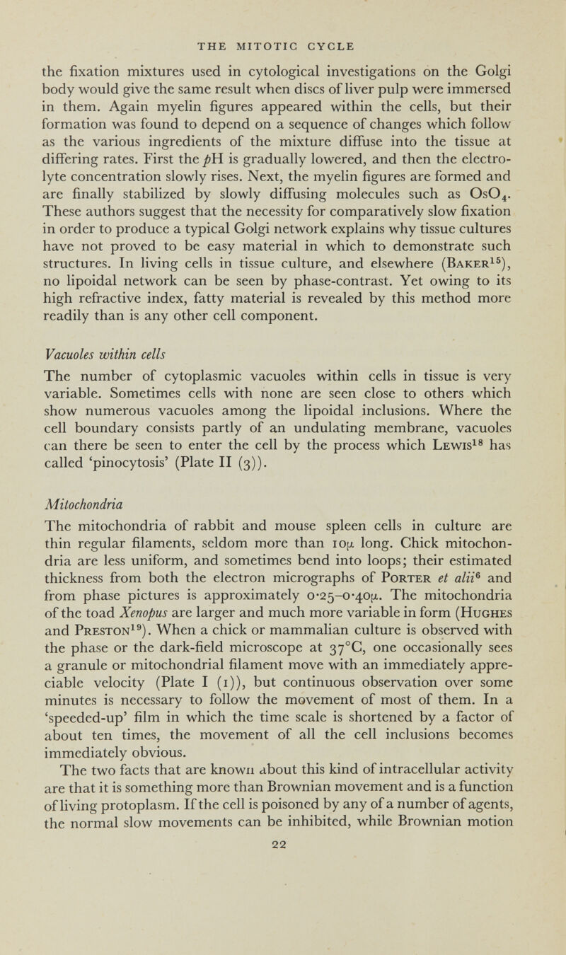 the mitotic cycle the fixation mixtures used in cytological investigations on the Golgi body would give the same result when discs of liver pulp were immersed in them. Again myelin figures appeared within the cells, but their formation was found to depend on a sequence of changes which follow as the various ingredients of the mixture diffuse into the tissue at differing rates. First the is gradually lowered, and then the electro¬ lyte concentration slowly rises. Next, the myelin figures are formed and are finally stabilized by slowly diffusing molecules such as OSO4. These authors suggest that the necessity for comparatively slow fixation in order to produce a typical Golgi network explains why tissue cultures have not proved to be easy material in which to demonstrate such structures. In living cells in tissue culture, and elsewhere (Baker^^), no lipoidal network can be seen by phase-contrast. Yet owing to its high refractive index, fatty material is revealed by this method more readily than is any other cell component. Vacuoles within cells The number of cytoplasmic vacuoles within cells in tissue is very variable. Sometimes cells with none are seen close to others which show numerous vacuoles among the lipoidal inclusions. Where the cell boundary consists partly of an undulating membrane, vacuoles can there be seen to enter the cell by the process which Lewis^® has called 'pinocytosis' (Plate II (3)). Mitochondria The mitochondria of rabbit and mouse spleen cells in culture are thin regular filaments, seldom more than lOfx long. Chick mitochon¬ dria are less uniform, and sometimes bend into loops; their estimated thickness from both the electron micrographs of Porter et alii^ and from phase pictures is approximately o*25-o*40¡x. The mitochondria of the toad Xenopus are larger and much more variable in form (Hughes and Preston^®). When a chick or mammalian culture is observed with the phase or the dark-field microscope at 37°C, one occasionally sees a granule or mitochondrial filament move with an immediately appre¬ ciable velocity (Plate I (i)), but continuous observation over some minutes is necessary to follow the movement of most of them. In a 'speeded-up' film in which the time scale is shortened by a factor of about ten times, the movement of all the cell inclusions becomes immediately obvious. The two facts that are known about this kind of intracellular activity are that it is something more than Brownian movement and is a function of living protoplasm. If the cell is poisoned by any of a number of agents, the normal slow movements can be inhibited, while Brownian motion 22