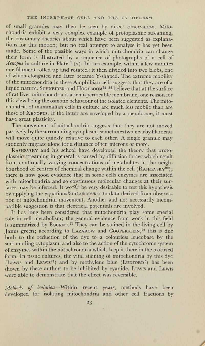 the interphase cell and the cytoplasm of small granules may then be seen by direct observation. Mito¬ chondria exhibit a very complex example of protoplasmic streaming, the customary theories about which have been suggested as explana¬ tions for this motion; but no real attempt to analyse it has yet been made. Some of the possible ways in which mitochondria can change their form is illustrated by a sequence of photographs of a cell of Xenopus in culture in Plate I (2). In this example, within a few minutes one filament rolled up and rotated; it then divided into two blobs, one of which elongated and later became Y-shaped. The extreme mobility of the mitochondria in these Amphibian cells suggests that they are of a liquid nature. Schneider and Hogeboom^^ believe that at the surface of rat liver mitochondria is a semi-permeable membrane, one reason for this view being the osmotic behaviour of the isolated elements. The mito¬ chondria of mammalian cells in culture are much less mobile than are those of Xenopus. If the latter are enveloped by a membrane, it must have great plasticity. The movement of mitochondria suggests that they are not moved passively by the surrounding cytoplasm; sometimes two nearby filaments will move quite quickly relative to each other. A single granule may suddenly migrate alone for a distance of ten microns or more. Rashevsky and his school have developed the theory that proto¬ plasmic streaming in general is caused by diffusion forces which result from continually varying concentrations of metabolites in the neigh¬ bourhood of centres of chemical change within the cell (Rashevsky^®) ; there is now good evidence that in some cells enzymes are associated with mitochondria and so cortinuous molecular changes at their sur¬ faces may be inferred. It wo-^ be very desirable to test this hypothesis by applying the tr^uations ^ пг^а.й/ ev?k y io data derived from observa¬ tion of mitochondrial movement. Another and noi necessarily incom¬ patible suggestion is that electrical potentials are involved. It has long been considered that mitochondria play some special role in cell metabolism; the general evidence from work in this field is summarized by Bourne.They can be stained in the living cell by Janus green; according to Lazarow and Cooperstein,^^ this is due both to the reduction of the dye to a colourless leucobase by the surrounding cytoplasm, and also to the action of the cytochrome system of enzymes within the mitochrondria which keep it there in the oxidized form. In tissue cultures, the vital staining of mitochondria by this dye (Levv^is and Lewis^^) and by methylene blue (Ludford^) has been shown by these authors to be inhibited by cyanide. Lewis and Lewis were able to demonstrate that the effect was reversible. Methods of isolation—Within recent years, methods have been developed for isolating mitochondria and other cell fractions by 23