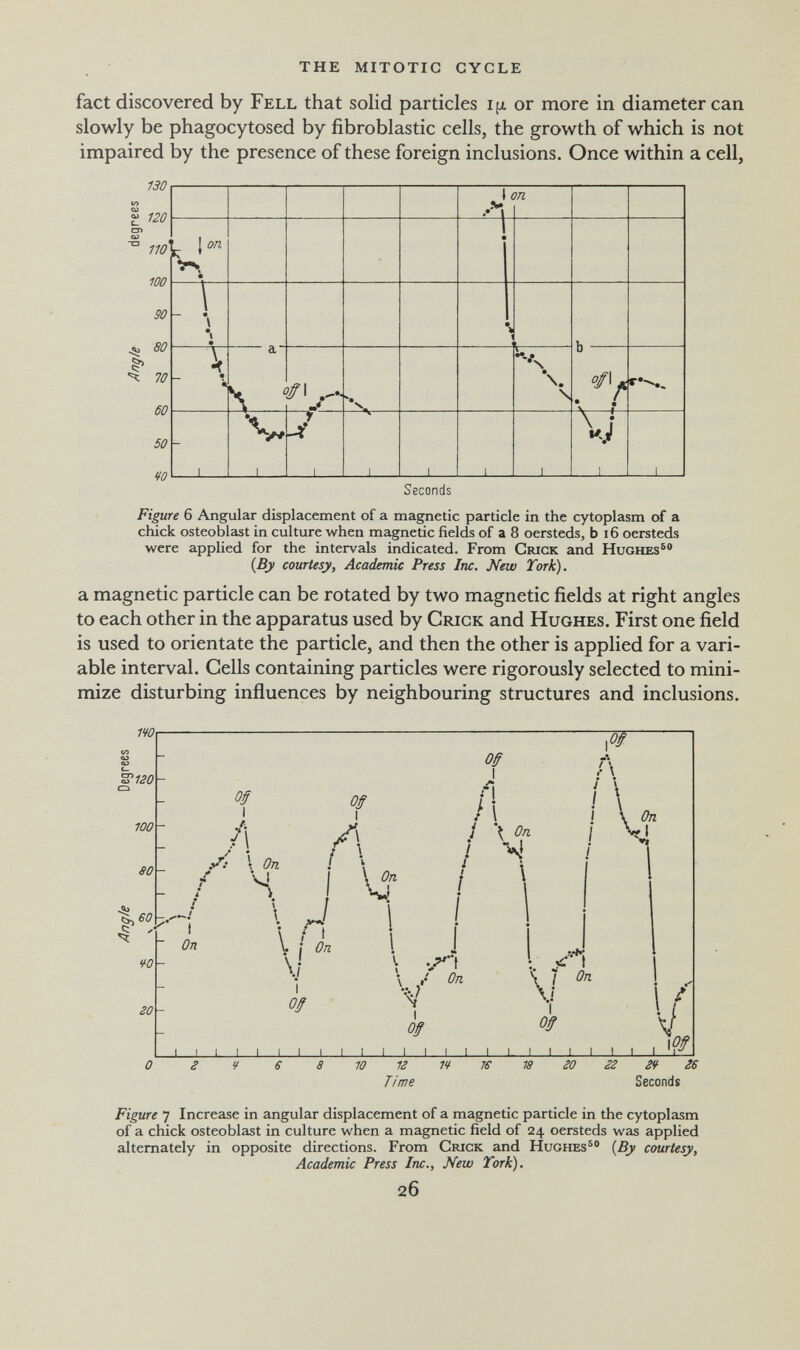 the mitotic cycle fact discovered by Fell that solid particles ifx or more in diameter can slowly be phagocytosed by fibroblastic cells, the growth of which is not impaired by the presence of these foreign inclusions. Once within a cell, 130 f 120 110 100 ^ 80 Ч 10 60 50 vo Seconds Figure 6 Angular displacement of a magnetic particle in the cytoplasm of a chick osteoblast in culture when magnetic fields of a 8 oersteds, b i6 oersteds were applied for the intervals indicated. From Crick and Hughes®® {By courtesy. Academic Press Inc. New Tork). a magnetic particle can be rotated by two magnetic fields at right angles to each other in the apparatus used by Crick and Hughes. First one field is used to orientate the particle, and then the other is applied for a vari¬ able interval. Cells containing particles were rigorously selected to mini¬ mize disturbing influences by neighbouring structures and inclusions. 26 Seconds Figure 7 Increase in angular displacement of a magnetic particle in the cytoplasm of a chick osteoblast in culture when a magnetic field of 24 oersteds was applied alternately in opposite directions. From Crick and Hughes®® {By courtesy, Academic Press Inc., New Tork). 26