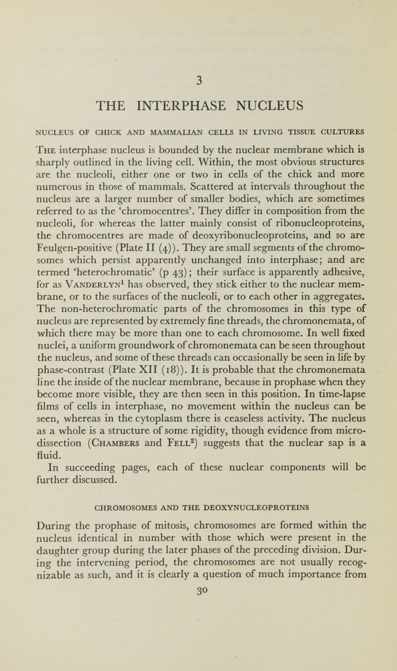 3 THE INTERPHASE NUCLEUS nucleus of chick and mammalian cells in living tissue cultures The interphase nucleus is bounded by the nuclear membrane which is sharply outlined in the living cell. Within, the most obvious structures are the nucleoli, either one or two in cells of the chick and more numerous in those of mammals. Scattered at intervals throughout the nucleus are a larger number of smaller bodies, which are sometimes referred to as the 'chromocentres'. They differ in composition from the nucleoli, for whereas the latter mainly consist of ribonucleoproteins, the chromocentres are made of deoxyribonucleoproteins, and so are Feulgen-positive (Plate II (4)). They are small segments of the chromo¬ somes which persist apparently unchanged into interphase; and are termed 'heterochromatic' (p 43) ; their surface is apparently adhesive, for as Vanderlyn^ has observed, they stick either to the nuclear mem¬ brane, or to the surfaces of the nucleoli, or to each other in aggregates. The non-heterochromatic parts of the chromosomes in this type of nucleus are represented by extremely fine threads, the chromonemata, of which there may be more than one to each chromosome. In well fixed nuclei, a uniform groundwork of chromonemata can be seen throughout the nucleus, and some of these threads can occasionally be seen in life by phase-contrast (Plate XII (18)). It is probable that the chromonemata line the inside of the nuclear membrane, because in prophase when they become more visible, they are then seen in this position. In time-lapse films of cells in interphase, no movement within the nucleus can be seen, whereas in the cytoplasm there is ceaseless activity. The nucleus as a whole is a structure of some rigidity, though evidence from micro¬ dissection (Chambers and Fell^) suggests that the nuclear sap is a fluid. In succeeding pages, each of these nuclear components will be further discussed. chromosomes and the deoxynucleoproteins During the prophase of mitosis, chromosomes are formed within the nucleus identical in number with those which were present in the daughter group during the later phases of the preceding division. Dur¬ ing the intervening period, the chromosomes are not usually recog¬ nizable as such, and it is clearly a question of much importance from 30