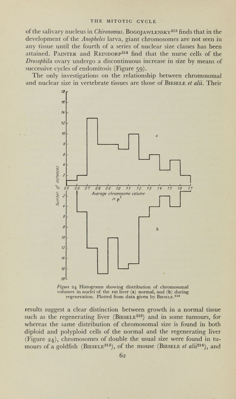 the mitotic cycle of the salivary nucleus in Chironomus. Bogojawlensky^^^ finds that in the development of the Anopheles larva, giant chromosomes are not seen in any tissue until the fourth of a series of nuclear size classes has been attained. Painter and Reindorp^^^ find that the nurse cells of the Drosophila ovary undergo a discontinuous increase in size by means of successive cycles of endomitosis (Figure 59), The only investigations on the relationship between chromosomal and nuclear size in vertebrate tissues are those of Biesele et alii. Their /ir fâ n 12 I J- ' ■ ' П 05 06 0-7 08 0-9 10 11 12 13 14 15 16 17 6 a 10 12 n 16 18 Average chromosome volume in Figure 24 Histograms showing distribution of chromosomal volumes in nuclei of the rat liver (a) normal, and (b) during regeneration. Plotted from data given by Biesele.''^ results suggest a clear distinction between growth in a normal tissue such as the regenerating liver (Biesele^io) and in some tumours, for whereas the same distribution of chromosomal size is found in both diploid and polyploid cells of the normal and the regenerating liver (Figure 24), chromosomes of double the usual size were found in tu¬ mours of a goldfish (biesele^ib), of the mouse (Biesele et alii^^^), and 62