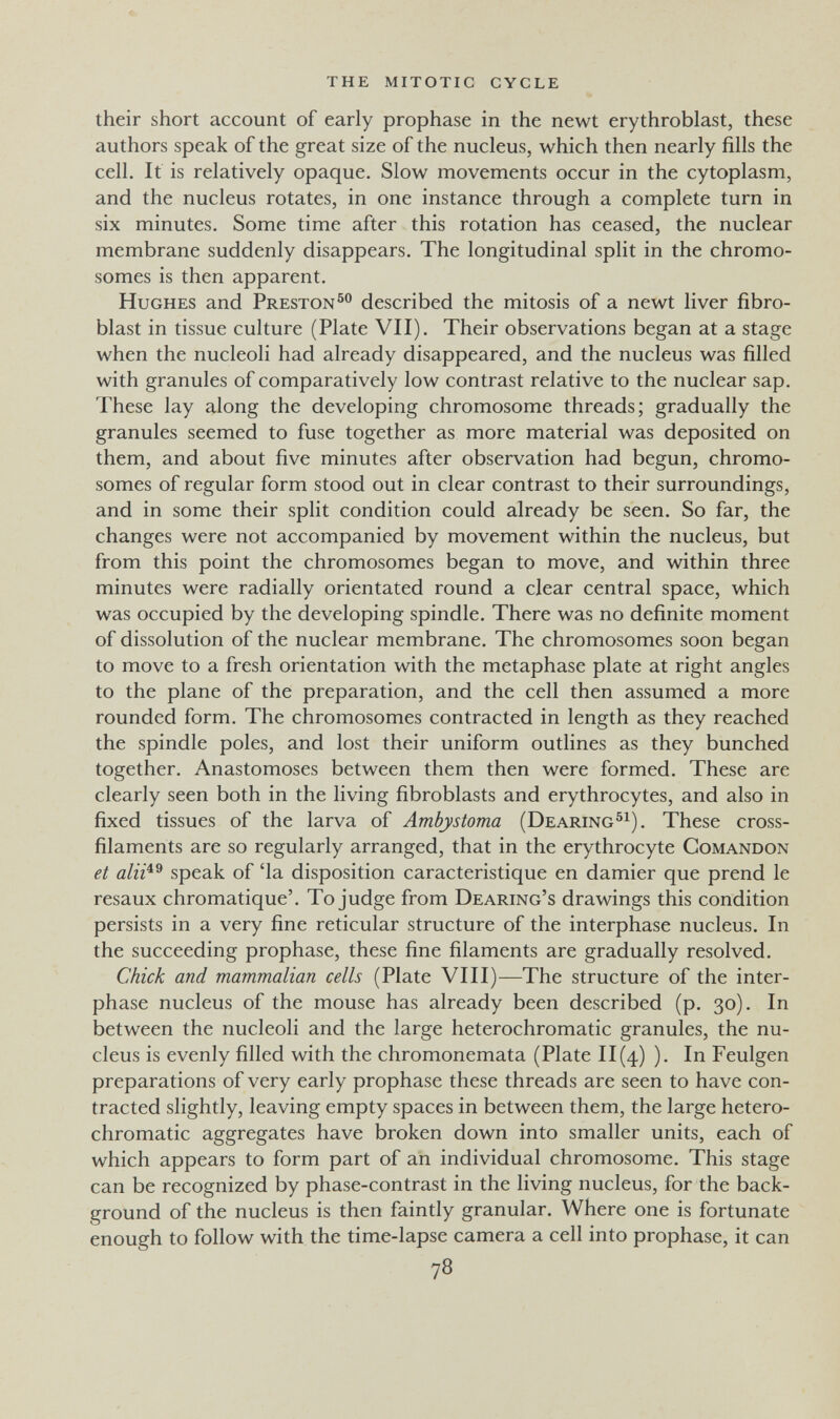 the mitotic cycle their short account of early prophase in the newt erythroblast, these authors speak of the great size of the nucleus, which then nearly fills the cell. It is relatively opaque. Slow movements occur in the cytoplasm, and the nucleus rotates, in one instance through a complete turn in six minutes. Some time after this rotation has ceased, the nuclear membrane suddenly disappears. The longitudinal split in the chromo¬ somes is then apparent. Hughes and Preston^ described the mitosis of a newt liver fibro¬ blast in tissue culture (Plate VII). Their observations began at a stage when the nucleoli had already disappeared, and the nucleus was filled with granules of comparatively low contrast relative to the nuclear sap. These lay along the developing chromosome threads; gradually the granules seemed to fuse together as more material was deposited on them, and about five minutes after observation had begun, chromo¬ somes of regular form stood out in clear contrast to their surroundings, and in some their split condition could already be seen. So far, the changes were not accompanied by movement within the nucleus, but from this point the chromosomes began to move, and within three minutes were radially orientated round a clear central space, which was occupied by the developing spindle. There was no definite moment of dissolution of the nuclear membrane. The chromosomes soon began to move to a fresh orientation with the metaphase plate at right angles to the plane of the preparation, and the cell then assumed a more rounded form. The chromosomes contracted in length as they reached the spindle poles, and lost their uniform outlines as they bunched together. Anastomoses between them then were formed. These are clearly seen both in the living fibroblasts and erythrocytes, and also in fixed tissues of the larva of Ambystoma (Bearing®^). These cross- filaments are so regularly arranged, that in the erythrocyte Gomandon et speak of 'la disposition caractéristique en damier que prend le resaux chromatique'. To judge from Bearing's drawings this condition persists in a very fine reticular structure of the interphase nucleus. In the succeeding prophase, these fine filaments are gradually resolved. Chick and mammalian cells (Plate VIII)—The structure of the inter¬ phase nucleus of the mouse has already been described (p. 30). In between the nucleoli and the large heterochromatic granules, the nu¬ cleus is evenly filled with the chromonemata (Plate 11(4) ). Feulgen preparations of very early prophase these threads are seen to have con¬ tracted slightly, leaving empty spaces in between them, the large hetero¬ chromatic aggregates have broken down into smaller units, each of which appears to form part of an individual chromosome. This stage can be recognized by phase-contrast in the living nucleus, for the back¬ ground of the nucleus is then faintly granular. Where one is fortunate enough to follow with the time-lapse camera a cell into prophase, it can 78