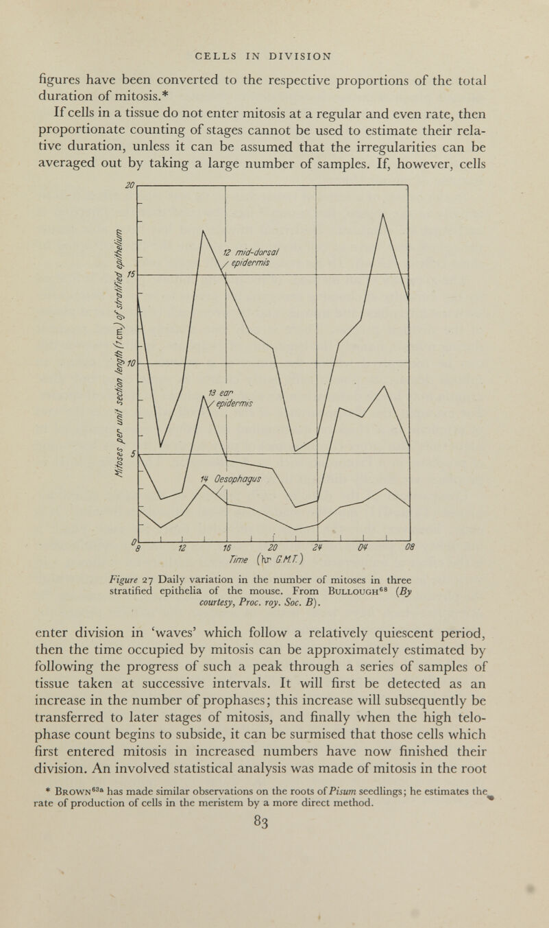 CELLS IN DIVISION figures have been converted to the respective proportions of the total duration of mitosis.* If cells in a tissue do not enter mitosis at a regular and even rate, then proportionate counting of stages cannot be used to estimate their rela¬ tive duration, unless it can be assumed that the irregularities can be Figure 27 Daily variation in the number of mitoses in three stratified epithelia of the mouse. From Bullough®® {By courtesy, Proc. roy. Soc. B). enter division in 'waves' which follow a relatively quiescent period, then the time occupied by mitosis can be approximately estimated by following the progress of such a peak through a series of samples of tissue taken at successive intervals. It will first be detected as an increase in the number of prophases; this increase will subsequently be transferred to later stages of mitosis, and finally when the high telo¬ phase count begins to subside, it can be surmised that those cells which first entered mitosis in increased numbers have now finished their division. An involved statistical analysis was made of mitosis in the root * Brown®®® has made similar observations on the roots of Pisum seedlings; he estimates the rate of production of cells in the meristem by a more direct method. 83