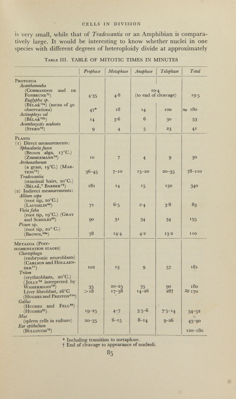 CELLS IN DIVISION is very small, while that of Tradescantia or an Amphibian is compara¬ tively large. It would be interesting to know whether nuclei in one species with different degrees of heteroploidy divide at approximately Table III. TABLE OF MITOTIC TIMES IN MINUTES * Including transition to metaphase. t End of cleavage to appearance of nucleoli. 85