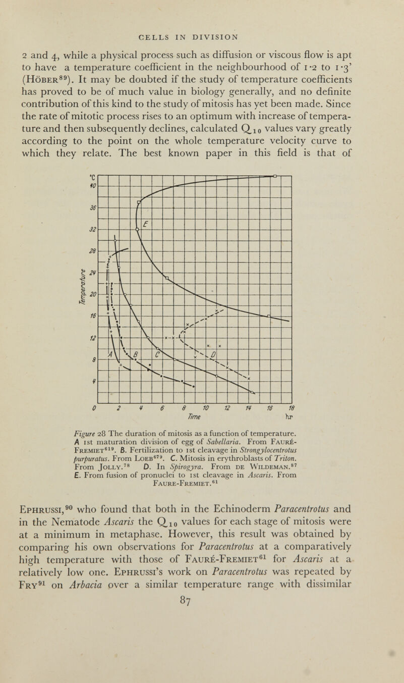 cells in division 2 and 4, while a physical process such as diffusion or viscous flow is apt to have a temperature coefficient in the neighbourhood of i *2 to i -3' (HöBER®^). It may be doubted if the study of temperature coefficients has proved to be of much value in biology generally, and no definite contribution of this kind to the study of mitosis has yet been made. Since the rate of mitotic process rises to an optimum with increase of tempera¬ ture and then subsequently declines, calculated Q^io values vary greatly according to the point on the whole temperature velocity curve to which they relate. The best known paper in this field is that of Time h,r Figure 28 The duration of mitosis as a function of temperature. A ist maturation division of egg of Sabellaria. From Fauré- Fremiet®^®. B. Fertilization to ist cleavage in Strongylocentrotus purpuratus. From Loeb®. C. Mitosis in erythroblasts of Triton. From Jolly.'® D. In Spirogyra. From de Wildeman.®' £. From fusion of pronuclei to ist cleavage in Ascaris. From Faure-Fremiet.®i Ephrussi,®^ who found that both in the Echinoderm Paracentrotus and in the Nematode Ascaris the С^ю values for each stage of mitosis were at a minimum in metaphase. However, this result was obtained by comparing his own observations for Paracentrotus at a comparatively high temperature with those of Fauré-Fremiet®i for Ascaris at a relatively low one. Ephrussi's work on Paracentrotus was repeated by Fry^i on Arbacia over a similar temperature range with dissimilar 87