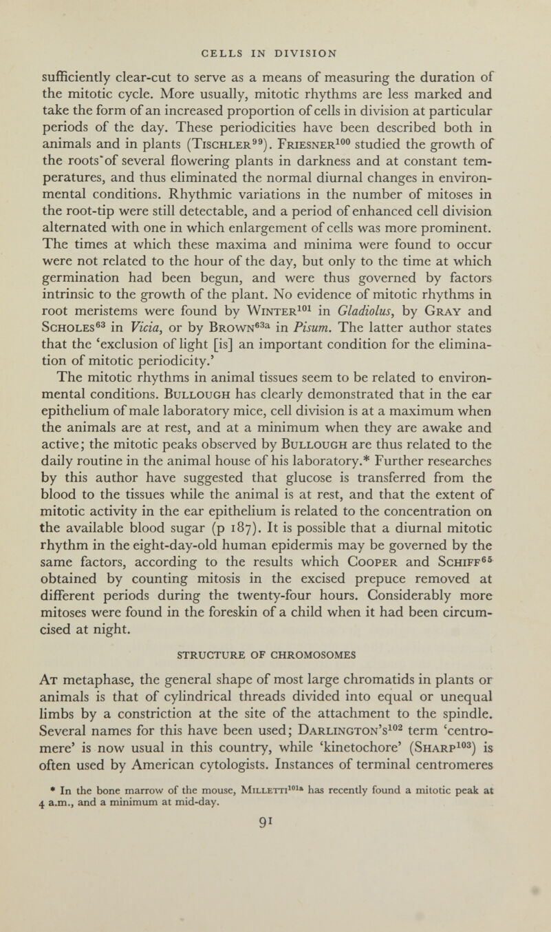 cells in division sufficiently clear-cut to serve as a means of measuring the duration of the mitotic cycle. More usually, mitotic rhythms are less marked and take the form of an increased proportion of cells in division at particular periods of the day. These periodicities have been described both in animals and in plants (Tischler^^). Friesner^°° studied the growth of the roots'of several flowering plants in darkness and at constant tem¬ peratures, and thus eliminated the normal diurnal changes in environ¬ mental conditions. Rhythmic variations in the number of mitoses in the root-tip were still detectable, and a period of enhanced cell division alternated with one in which enlargement of cells was more prominent. The times at which these maxima and minima were found to occur were not related to the hour of the day, but only to the time at which germination had been begun, and were thus governed by factors intrinsic to the growth of the plant. No evidence of mitotic rhythms in root meristems were found by Winter^^ in Gladiolus^ by Gray and Scholes®^ in Vicia^ or by Brown®^^ in Pisum. The latter author states that the 'exclusion of light [is] an important condition for the elimina¬ tion of mitotic periodicity.' The mitotic rhythms in animal tissues seem to be related to environ¬ mental conditions. BuLLOUGH has clearly demonstrated that in the ear epithelium of male laboratory mice, cell division is at a maximum when the animals are at rest, and at a minimum when they are awake and active; the mitotic peaks observed by Bullough are thus related to the daily routine in the animal house of his laboratory.* Further researches by this author have suggested that glucose is transferred from the blood to the tissues while the animal is at rest, and that the extent of mitotic activity in the ear epithelium is related to the concentration on the available blood sugar (p 187). It is possible that a diurnal mitotic rhythm in the eight-day-old human epidermis may be governed by the same factors, according to the results which Cooper and Schiff®® obtained by counting mitosis in the excised prepuce removed at different periods during the twenty-four hours. Considerably more mitoses were found in the foreskin of a child when it had been circum¬ cised at night. structure of chromosomes At metaphase, the general shape of most large chromatids in plants or animals is that of cylindrical threads divided into equal or unequal limbs by a constriction at the site of the attachment to the spindle. Several names for this have been used; Darlington's^^ term 'centro¬ mere' is now usual in this country, while 'kinetochore' (Sharp^^) is often used by American cytologists. Instances of terminal centromeres • In the bone marrow of the mouse, Milletti^®^» has recently found a mitotic pe£ik at 4 a.m., and a minimum at mid-day. 91 #