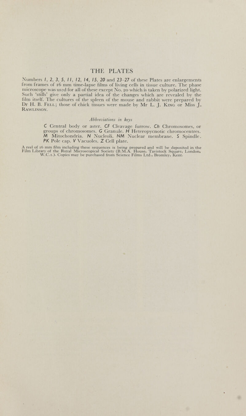 THE PLATES Numbers I, 2, 3, 5, II, 12, 14, 15, 20 and 23-27 of these Plates are enlargements from frames of i6 mm time-lapse films of living cells in tissue culture. The phase microscope was used for all of these except No. 20 which is taken by polarized light. Such 'stills' give only a partial idea of the changes which are revealed by the film itself. The cultures of the spleen of the mouse and rabbit were prepared by Dr H. В. Fell; those of chick tissues were made by Mr L. J. King or Miss J. Rawlinson. Abbreviations in keys С Central body or aster. CF Cleavage furrow. Ch Chromosomes, or groups of chromosomes. G Granule. H Heteropycnotic chromocentres. /И Mitochondria. N Nucleoli. NM Nuclear membrane. S Spindle. PK Pole cap. V Vacuoles. Z Cell plate. A reel of 16 mm film including these sequences is being prepared and will be deposited in the Film Library of the Royal Microscopical Society (B.M.A. House, Tavistock Square, London, W.C.I.). Copies may be purchased from Science Films Ltd., Bromley, Kent. Ч