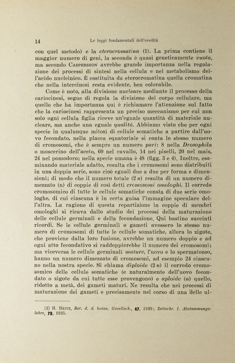 con quel metodo) e la eterocromatina (1). La prima contiene il maggior numero di geni, la seconda è quasi geneticamente vuota, ma secondo Caspersson avrebbe grande importanza nella regola zione dei processi di sintesi nella cellula e nel metabolismo del l'acido nucleinico. È costituita da eterocromatina quella cromatina che nella intercinesi resta evidente, ben colorabile. Come è noto, alla divisione nucleare mediante il processo della cariocinesi, segue di regola la divisione del corpo cellulare, ma quello che ha importanza qui è richiamare l'attenzione sul fatto che la cariocinesi rappresenta un preciso meccanismo per cui non solo ogni cellula figlia riceve un'eguale quantità di materiale nu cleare, ma anche una eguale qualità. Abbiamo visto che per ogni specie in qualunque mitosi di cellule somatiche a partire dall'uo vo fecondato, nella placca, equatoriale si conta lo stesso numero di cromosomi, che è sempre un numero pari : 8 nella Drosophüa o moscerino dell'aceto, 60 nel cavallo, 14 nei piselli, 20 nel mais, 24 nel pomodoro; nella specie umana è 48 (figg. 3 e 4). Inoltre, esa minando materiale adatto, resulta che i cromosomi sono distribuiti in una doppia serie, sono cioè eguali due a due per forma e dimen sioni; di modo che il numero totale (2 n) resulta di un numero di mezzato (n) di coppie di così detti cromosomi omologhi. Il corredo cromosomico di tutte le cellule somatiche consta di due serie omo loghe, di cui ciascuna è in certa guisa l'immagine speculare del l'altra. La ragione di questa repartizione in coppie di membri omologhi si ricava dallo studio dei processi della maturazione delle cellule germinali e della fecondazione. Qui bastino succinti ricordi. Se le cellule germinali o gameti avessero lo stesso nu mero di cromosomi di tutte le cellule somatiche, allora lo zigote, che proviene dalla loro fusione, avrebbe un numero doppio e ad ogni atto fecondativo si raddoppierebbe il numero dei cromosomi; ma viceversa le cellule germinali mature, l'uovo e lo spermatozoo, hanno un numero dimezzato di cromosomi, ad esempio 24 ciascu no nella nostra specie. Si chiama diploide (2 n ) il corredo cromo somico delle cellule somatiche (e naturalmente dell'uovo fecon dato o zigote da cui tutte esse provengono) e aploide ( n ) quello, ridotto a metà, dei gameti maturi. Ne resulta che nei processi di maturazione dei gameti e precisamente nel corso di una delle ul ti) H. Heitz, Ber. d. d. botan. Gesellsch., 4 J, 1929 ; Zeitschr. f. Abstammungs lehre , 70, 1935.
