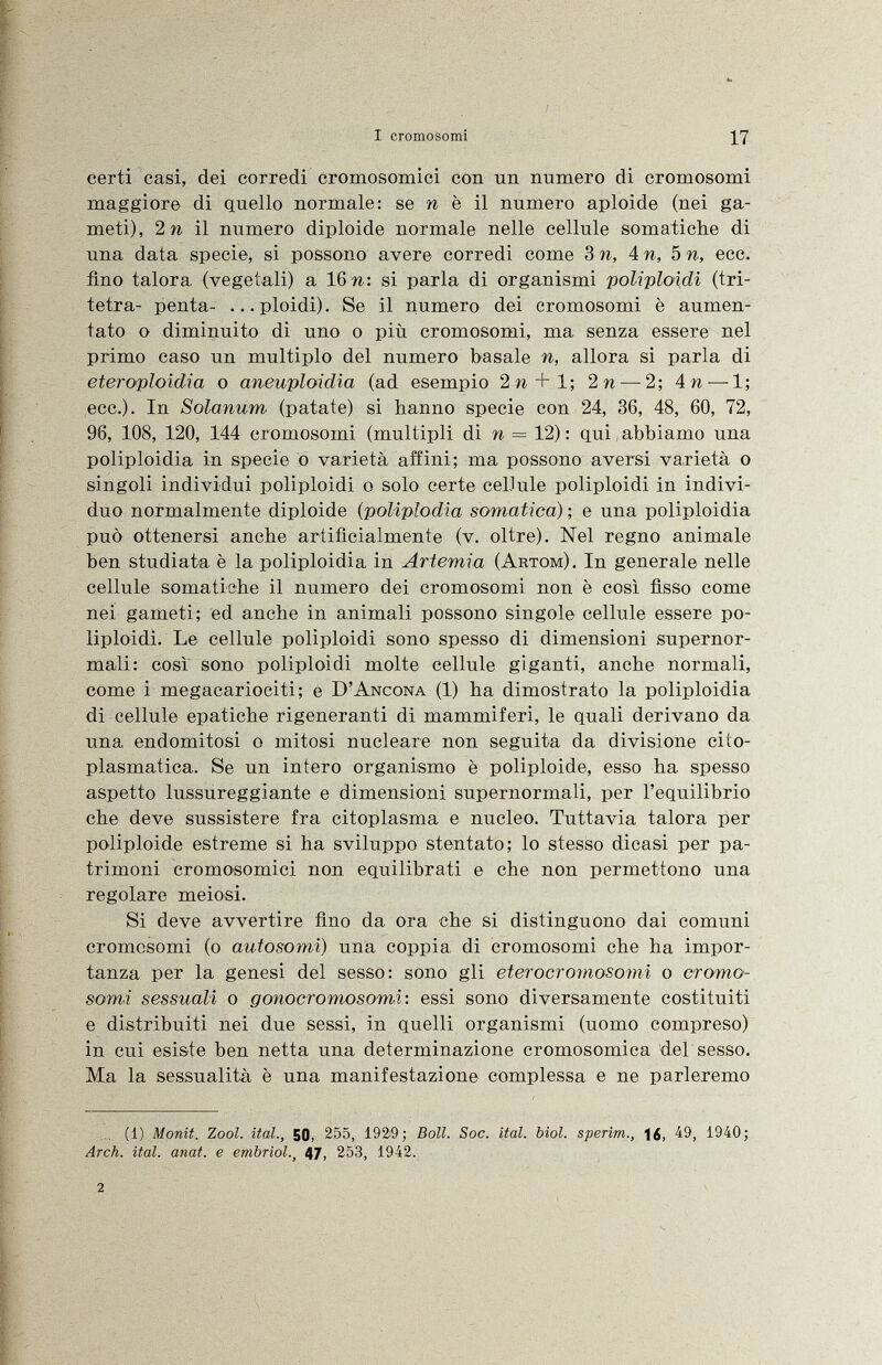 certi casi, dei corredi cromosomici con un numero di cromosomi maggiore di quello normale: se n è il numero aploide (nei ga meti), 2 n il numero diploide normale nelle cellule somatiche di una data specie, si possono avere corredi come 3 n, 4 n, 5 n, ecc. fino talora (vegetali) a 16 n: si parla di organismi poliploidi (tri- tetra- penta- ...ploidi). Se il numero dei cromosomi è aumen tato o diminuito di uno o più cromosomi, ma senza essere nel primo caso un multiplo del numero basale n, allora si parla di etercyploidia o aneuploidia (ad esempio 2n + l; 2 n — 2; 4 n- —1; ecc.). In Solanum (patate) si hanno specie con 24, 36, 48, 60, 72, 96, 108, 120, 144 cromosomi (multipli di n = 12) : qui, abbiamo una poliploidia in specie o varietà affini; ma possono aversi varietà o singoli individui poliploidi o solo certe cellule poliploidi in indivi duo normalmente diploide (poliplodia somatica) ; e una poliploidia può ottenersi anche artificialmente (v. oltre). Nel regno animale ben studiata è la poliploidia in Artemia (Artom ). In generale nelle cellule somatiche il numero dei cromosomi non è così fìsso come nei gameti; ed anche in animali possono singole cellule essere po liploidi. Le cellule poliploidi sono spesso di dimensioni supernor- mali: così sono poliploidi molte cellule giganti, anche normali, come i megacariociti; e D'Ancona (1) ha dimostrato la poliploidia di cellule epatiche rigeneranti di mammiferi, le quali derivano da una, endomitosi o mitosi nucleare non seguita da divisione cito plasmatica. Se un intero organismo è poliploide, esso ha spesso aspetto lussureggiante e dimensioni supernormali, per l'equilibrio che deve sussistere fra citoplasma e nucleo. Tuttavia talora per poliploide estreme si ha sviluppo stentato; lo stesso dicasi per pa trimoni cromosomici non equilibrati e che non permettono una regolare meiosi. Si deve avvertire fino da ora che si distinguono dai comuni cromosomi (o autosomi ) una coppia, di cromosomi che ha impor tanza per la genesi del sesso: sono gli eterocromosomi o cromo somi sessuali o gonocromosomì : essi sono diversamente costituiti e distribuiti nei due sessi, in quelli organismi (uomo compreso) in cui esiste ben netta una determinazione cromosomica del sesso. Ma la sessualità è una manifestazione complessa e ne parleremo (1) Monit. Zool. ital., 50, 255, 1929; Boll. Soc. ital. bìol. sperim., |6, 49, 1940; Arch. ital. anat. e embriol 47, 253, 1942.