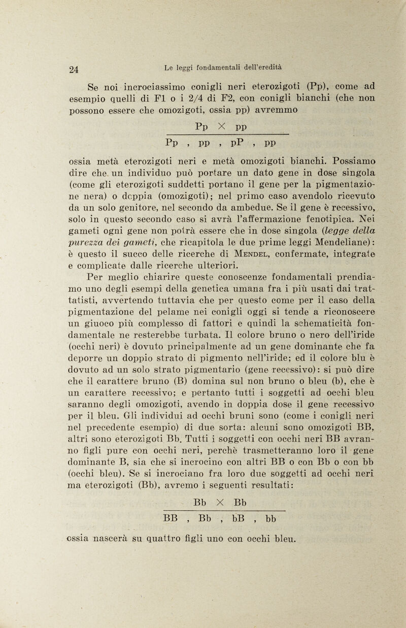 Se noi incrociassimo conigli neri eterozigoti (Pp), come ad esempio quelli di FI o i 2/4 di F2, con conigli bianchi (che non possono essere che omozigoti, ossia pp) avremmo Pp X pp Pp , pp , pP , pp ossia metà eterozigoti neri e metà omozigoti bianchi. Possiamo dire che. un individuo può portare un dato gene in dose singola (come gli eterozigoti suddetti portano il gene per la pigmentazio ne nera) o doppia (omozigoti) ; nel primo caso avendolo ricevuto da un solo genitore, nel secondo da ambedue. Se il gene è recessivo, solo in questo secondo caso si avrà l'affermazione fenotipica. Nei gameti ogni gene non potrà essere che in dose singola ( legge della purezza dei gameti, che ricapitola le due prime leggi Mendeliane) : è questo il succo delle ricerche di Mendel , confermate, integrate e complicate dalle ricerche ulteriori. Per meglio chiarire queste conoscenze fondamentali prendia mo uno degli esempi della genetica umana fra i più usati dai trat tatisti, avvertendo tuttavia che per questo come per il caso della pigmentazione del pelame nei conigli oggi si tende a riconoscere un giuoco più complesso di fattori e quindi la schematicità fon damentale ne resterebbe turbata. Il colore bruno o nero dell'iride (occhi neri) è dovuto principalmente ad un gene dominante che fa deporre un doppio strato di pigmento nell'iride; ed il colore blu è dovuto ad un solo strato pigmentario (gene recessivo) : si può dire che il carattere bruno (B) domina sul non bruno o bleu (b), che è un carattere recessivo; e pertanto tutti i soggetti ad occhi bleu saranno degli omozigoti, avendo in doppia dose il gene recessivo per il bleu. Gli individui ad occhi bruni sono (come i conigli neri nel precedente esempio) di due sorta: alcuni sono omozigoti BB, altri sono eterozigoti Bb. Tutti i soggetti con occhi neri BB avran no figli pure con occhi neri, perchè trasmetteranno loro il gene dominante B, sia che si incrocino con altri BB o con Bb o con bb (occhi bleu). Se si incrociano fra loro due soggetti ad occhi neri ma eterozigoti (Bb), avremo i seguenti resultati: Bb X Bb BB , Bb , bB , bb ossia nascerà su quattro figli uno con occhi bleu.