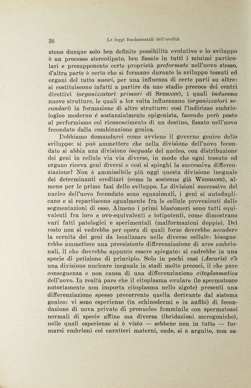 stono dunque solo ben definite possibilità evolutive e lo sviluppo è un processo stereotipato, ben fissato in tutti i minimi partico lari e presupponente certe proprietà preformate nell'uovo stesso, d'altra parte è certo che si formano durante lo sviluppo tessuti ed organi del tutto nuovi, per una influenza di certe parti su altre: si costituiscono infatti a partire da uno stadio precoce dei centri direttivi ( organizzatori primari di Spemann ), i quali inducono nuove strutture, le quali a lor volta influenzano ( organizzatori se condari) la formazione di altre strutture: così l'indirizzo embrio logico moderno è sostanzialmente epigenista, facendo però posto al performismo col riconoscimento di un destino, fissato nell'uovo fecondato dalla combinazione genica. Dobbiamo domandarci come avviene il governo genico dello sviluppo: si può ammettere che nella divisione dell'uovo fecon dato si abbia una divisione ineguale del nucleo, con distribuzione dei geni in cellule via via diverse, in modo che ogni tessuto od organo riceva geni diversi e così si spieghi la successiva differen ziazione? Non è ammissibile più oggi questa divisione ineguale dei determinanti ereditari (come la sostenne già Weismann ), al meno per le prime fasi dello sviluppo. Le divisioni successive del nucleo dell'uovo fecondato sono equazionali, i geni si autodupli- cano e si impartiscono egualmente fra le cellule provenienti dalle segmentazioni di esso. Almeno i primi blastomeri sono tutti equi valenti fra loro e ovo-equivalenti e totipotenti, come dimostrano vari fatti patologici e sperimentali (malformazioni doppie). Del resto non si vedrebbe per opera di quali forze dovrebbe accadere la cernita dei geni da localizzare nelle diverse cellule: bisogne rebbe ammettere una preesistente differenziazione di aree embrio nali, il che dovrebbe appunto essere spiegato: si cadrebbe in una specie di petizione di principio. Solo in pochi casi ( Ascaris ) c'è una divisione nucleare ineguale in stadi molto precoci, il che pare conseguenza e non causa di una differenziazione citoplasmatica dell'uovo. In realtà pare che il citoplasma ovulare (lo spermatozoo notoriamente non importa citoplasma nello zigote) presenti una differenziazione spesso precorrente quella derivante dal sistema genico: vi sono esperienze (in echinodermi e in anfibi) di fecon dazione di uova private di pronucleo femminile con spermatozoi normali di specie affine ma diversa (ibridazioni merogoniche), nelle quali esperienze si è visto — sebbene non in tutte •— for marsi embrioni coi caratteri materni, onde, si è arguito, non sa