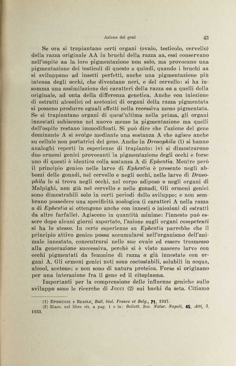 Se ora si trapiantano certi organi (ovaio, testicolo, cervello) della razza originale AA in bruchi della razza aa, essi conservano nell'ospite aa la loro pigmentazione non solo, ma provocano una pigmentazione dei testicoli di questo e quindi, quando i bruchi aa si sviluppano ad insetti perfetti, anche una pigmentazione più intensa degli occhi, che diventano neri, e del cervello: si ha. in somma una. assimilazione dei caratteri della razza aa a quelli della originale, ad onta della differenza genetica. Anche con iniezione di estratti alcoolici od acetonici di organi della razza pigmentata si possono produrre eguali effetti nella recessiva meno pigmentata. Se si trapiantano organi di quest'ultima nella prima, gli organi innestati subiscono nel nuovo mezzo la pigmentazione ma quelli dell'ospite restano immodificati. Si può dire che l'azione del gene dominante A si svolge mediante una sostanza A che agisce anche su cellule non portatrici del gene. Anche in Drosophila (1) si hanno analoghi reperti in esperienze di trapianto: ivi si dimostrarono due ormoni genici provocanti la pigmentazione degli occhi e forse uno di questi è identico colla sostanza A di Ephestia. Mentre però il principio genico nelle larve di Ephestia è presente negli ab bozzi delle gonadi, nel cervello e negli occhi, nelle larve di Droso phila lo si trova negli occhi, nel corpo adiposo e negli organi di Malpighi, non già nel cervello e nelle gonadi. Gli ormoni genici sono dimostrabili solo in certi periodi dello sviluppo; e non sem brano possedere una specificità zoologica (i caratteri A nella razza a di Ephestia si ottengono anche con innesti o iniezioni di estratti da altre farfalle). Agiscono in quantità minime: l'innesto può es sere dopo alcuni giorni asportato, l'azione sugli organi competenti si ha lo stesso. In certe esperienze su Ephestia parrebbe che il principio attivo genico possa accumularsi nell'organismo dell'ani male innestato, concentrarsi nelle sue ovaie ed essere trasmesso alla generazione successiva, perchè si è visto nascere larve con occhi pigmentati da femmine di razza a già innestate con or gani A. Gli ormoni genici noti sono coctostabili, solubili in acqua, alcool, acetone; e non sono di natura proteica. Forse si originano per una interazione fra il gene ed il citoplasma. Importanti per la comprensione delle influenze geniche sullo sviluppo sono le ricerche di Jucci (2) sui bachi da seta. Citiamo (1) Ephrussi e Beadle, Bull. biol. France et Belg., 71, 1937. (2) Riass. nel libro cit. a pag. 1 e in: Bollett. Soc. Natur. Napoli, 45, Atti, 3,