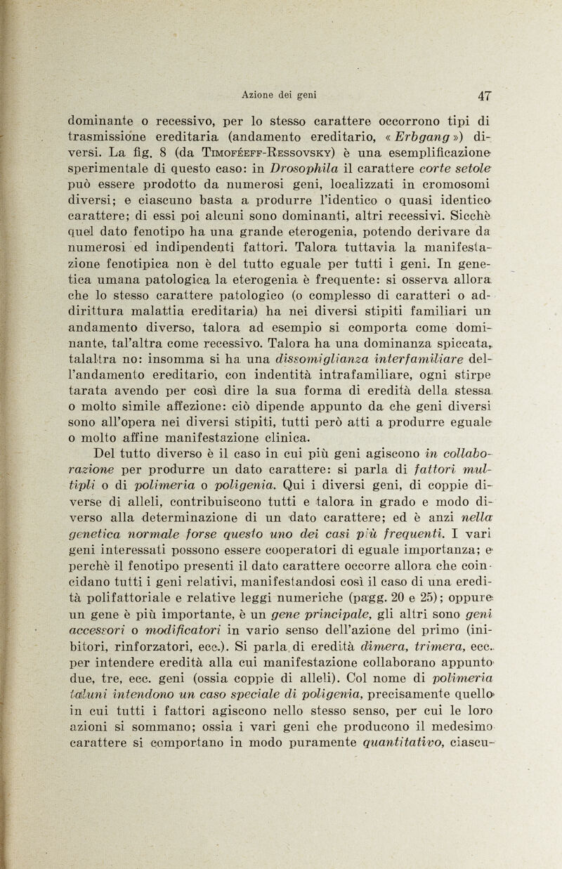 dominante o recessivo, per lo stesso carattere occorrono tipi di trasmissione ereditaria (andamento ereditario, « Erbgang ») di versi. La flg. 8 (da Timoféeff-Ressovsky ) è nna esemplificazione sperimentale di questo caso: in Drosophila il carattere corte setole può essere prodotto da numerosi geni, localizzati in cromosomi diversi; e ciascuno basta a produrre l'identico o quasi identico carattere; di essi poi alcuni sono dominanti, altri recessivi. Sicché quel dato fenotipo ha una grande eterogenia, potendo derivare da numerosi ed indipendenti fattori. Talora tuttavia la manifesta zione fenotipica non è del tutto eguale per tutti i geni. In gene tica umana patologica la eterogenia è frequente: si osserva allora che lo stesso carattere patologico (o complesso di caratteri o ad dirittura malattia ereditaria) ha nei diversi stipiti familiari un andamento diverso, talora ad esempio si comporta come domi nante, tal'altra come recessivo. Talora ha una dominanza spiccata,, talaltra no: insomma si ha una dissomiglianza inter familiar e del l'andamento ereditario, con indentità intrafamiliare, ogni stirpe tarata avendo per così dire la sua forma di eredità della stessa, o molto simile affezione: ciò dipende appunto da che geni diversi sono all'opera nei diversi stipiti, tutti però atti a produrre eguale o molto affine manifestazione clinica. Del tutto diverso è il caso in cui più geni agiscono in collabo razione per produrre un dato carattere: si parla di fattori mul tipli o di polimeria o poligenia. Qui i diversi geni, di coppie di verse di alleli, contribuiscono tutti e talora in grado e modo di verso alla determinazione di un dato carattere; ed è anzi nella genetica normale forse questo uno dei casi più frequenti. I vari geni interessati possono essere cooperatori di eguale importanza; e perchè il fenotipo presenti il dato carattere occorre allora che coin cidano tutti i geni relativi, manifestandosi così il caso di una eredi tà polifattoriale e relative leggi numeriche (pagg. 20 e 25) ; oppure un gene è più importante, è un gene principale, gli altri sono geni accessori o modificatori in vario senso dell'azione del primo (ini bitori, rinforzatori, ecc.). Si parla di eredità dimera, trimera, ecc.. per intendere eredità alla cui manifestazione collaborano appunto due, tre, ecc. geni (ossia coppie di alleli). Col nome di polimeria taluni intendono un caso speciale di poligenia, precisamente quello» in cui tutti i fattori agiscono nello stesso senso, per cui le loro azioni si sommano; ossia i vari geni che producono il medesimo carattere si comportano in modo puramente quantitativo, ciascu