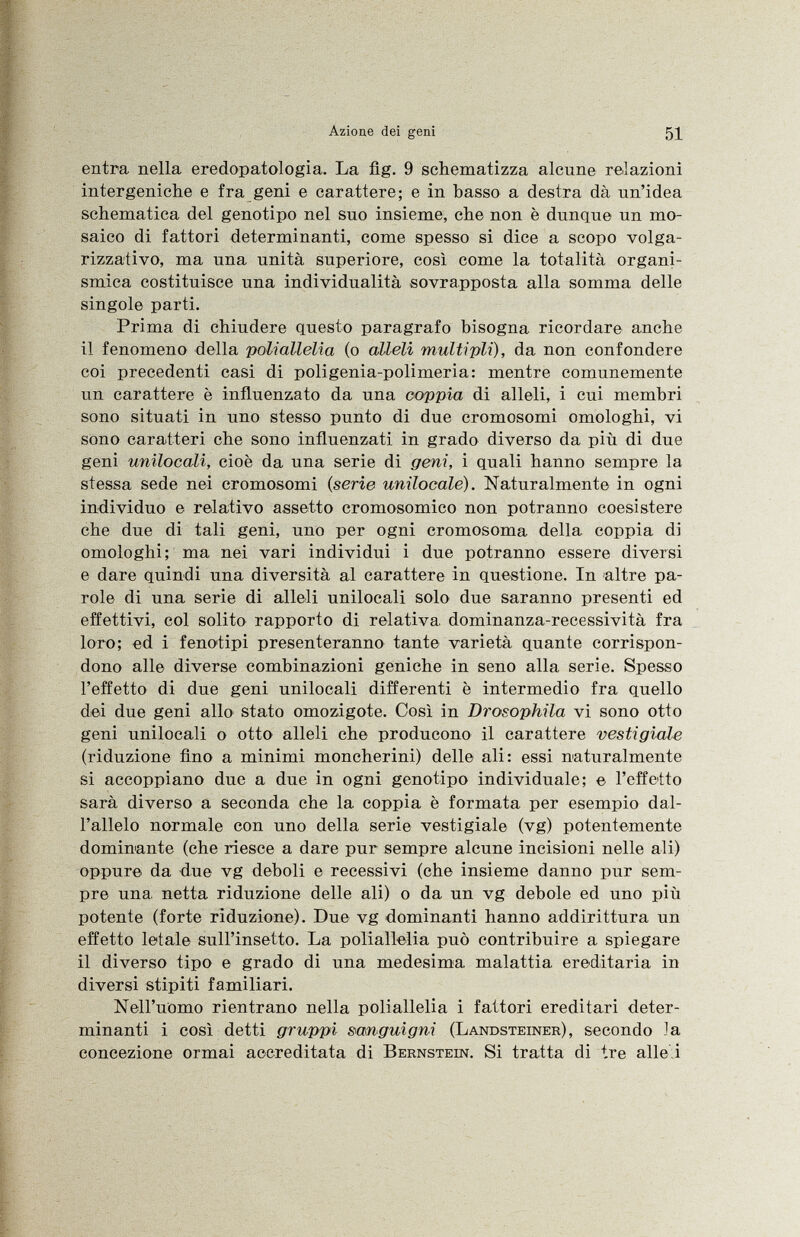 entra nella eredopatologia. La fig. 9 schematizza alcune relazioni intergeniche e fra geni e carattere; e in basso a destra dà un'idea schematica del genotipo nel suo insieme, che non è dunque un mo saico di fattori determinanti, come spesso si dice a scopo volga- rizzativo, ma una unità superiore, così come la totalità organi- smica costituisce una individualità sovrapposta alla somma delle singole parti. Prima di chiudere questo paragrafo bisogna ricordare anche il fenomeno della poliallelia (o alleli multipli), da non confondere coi precedenti casi di poligenia-polimeria: mentre comunemente un carattere è influenzato da una coppia di alleli, i cui membri sono situati in uno stesso punto di due cromosomi omologhi, vi sono caratteri che sono influenzati in grado diverso da più di due geni unilocali, cioè da una serie di geni, i quali hanno sempre la stessa sede nei cromosomi ( serie unìlocalè). Naturalmente in ogni individuo e relativo assetto cromosomico non potranno coesistere che due di tali geni, uno per ogni cromosoma della coppia di omologhi; ma nei vari individui i due potranno essere diversi e dare quindi una diversità al carattere in questione. In altre pa role di una serie di alleli unilocali solo due saranno presenti ed effettivi, col solito rapporto di relativa dominanza-recessività fra loro; ed i fenotipi presenteranno tante varietà quante corrispon dono alle diverse combinazioni geniche in seno alla serie. Spesso l'effetto di due geni unilocali differenti è intermedio fra quello dei due geni allo stato omozigote. Così in Drosophila vi sono otto geni unilocali o otto alleli che producono il carattere vesti gioie (riduzione fino a minimi moncherini) delle ali: essi naturalmente si accoppiano due a due in ogni genotipo individuale; e l'effetto sarà diverso a seconda che la coppia è formata per esempio da.l- l'allelo normale con uno della serie vestigiale (vg) potentemente dominante (che riesce a dare pur sempre alcune incisioni nelle ali) oppure da due vg deboli e recessivi (che insieme danno pur sem pre una netta riduzione delle ali) o da un vg debole ed uno più potente (forte riduzione). Due vg dominanti hanno addirittura un effetto letale sull'insetto'. La poliallelia può contribuire a spiegare il diverso tipo e grado di una medesima malattia ereditaria in diversi stipiti familiari. Nell'uomo rientrano nella poliallelia i fattori ereditari deter minanti i così detti gruppi sanguigni (Landsteiner ), secondo Ja concezione ormai accreditata di Bernstein . Si tratta di tre alle i