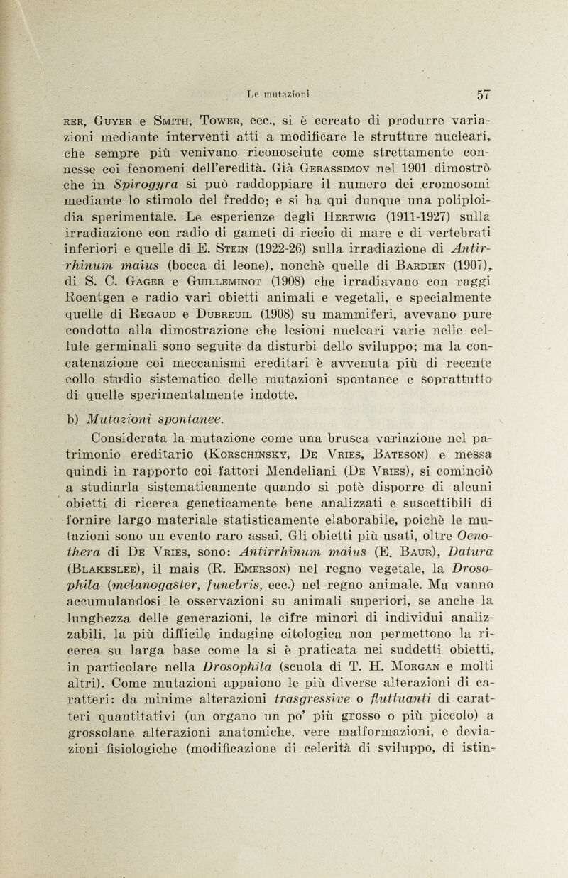 rer, Guyer e Smith, Tower , ecc., si è cercato di produrre varia zioni mediante interventi atti a modificare le strutture nucleari, che sempre più venivano riconosciute come strettamente con nesse coi fenomeni dell'eredità. Già Gerassimov nel 1901 dimostrò, che in Spirogyra si può raddoppiare il numero dei cromosomi mediante lo stimolo del freddo; e si ha qui dunque una poliploi- dia sperimentale. Le esperienze degli Hertwig (1911-1927) sulla irradiazione con radio di gameti di riccio di mare e di vertebrati inferiori e quelle di E. Stein (1922-26) sulla irradiazione di Antir rhinum malus (bocca di leone), nonché quelle di Bardien (1907), di S. C. Gager e Guilleminot (1908) che irradiavano con raggi Roentgen e radio vari obietti animali e vegetali, e specialmente quelle di Regaud e Dubreuil (1908) su mammiferi, avevano pure condotto alla dimostrazione che lesioni nucleari varie nelle cel lule germinali sono seguite da disturbi dello sviluppo; ma la con catenazione coi meccanismi ereditari è avvenuta più di recente collo studio sistematico delle mutazioni spontanee e soprattutto- di quelle sperimentalmente indotte. b) Mutazioni spontanee. Considerata la mutazione come una brusca variazione nel pa trimonio ereditario ( Korschinsky, De Vries, Bateson ) e messa quindi in rapporto coi fattori Mendeliani ( De Vries ), si cominciò a studiarla sistematicamente quando si potè disporre di alcuni obietti di ricerca, geneticamente bene analizzati e suscettibili di fornire largo materiale statisticamente elaborabile, poiché le mu tazioni sono un evento raro assai. Gli obietti più usati, oltre Oeno thera di De Vries , sono: Antirrhinum maius (E. Baur), Datura (Blakeslee ), il mais (R. Emerson ) nel regno vegetale, la Droso- phila (melano g aster, funebris, ecc.) nel regno animale. Ma vanno accumulandosi le osservazioni su animali superiori, se anche la lunghezza delle generazioni, le cifre minori di individui analiz zabili, la più difficile indagine citologica non permettono la ri cerca su larga base come la si è praticata nei suddetti obietti, in particolare nella Drosophila (scuola di T. H. Morgan e molti altri). Come mutazioni appaiono le più diverse alterazioni di ca ratteri: da minime alterazioni trasgressive o fluttuanti di carat teri quantitativi (un organo un po' più grosso o più piccolo) a grossolane alterazioni anatomiche, vere malformazioni, e devia zioni fisiologiche (modificazione di celerità di sviluppo, di istin-