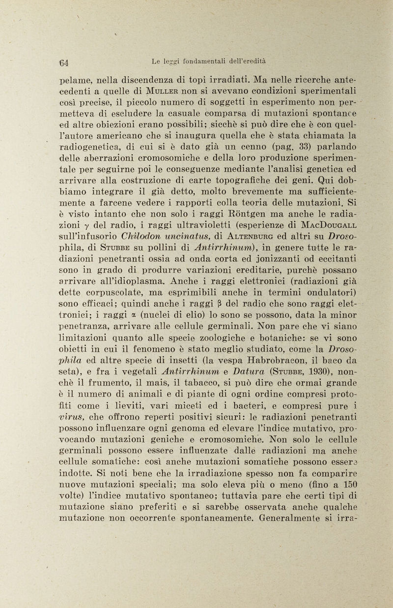 \ •gA Le leggi fondamentali dell'eredità pelame, nella discendenza di topi irradiati. Ma nelle ricerche ante cedenti a quelle di Muller non si avevano condizioni sperimentali così precise, il piccolo numero di soggetti in esperimento non per metteva di escludere la casuale comparsa di mutazioni spontanee ed altre obiezioni erano possibili; sicché si può dire che è con quel l'autore americano che si inaugura quella che è stata chiamata la radiogenetica, di cui si è dato già un cenno (pag. 33) parlando delle aberrazioni cromosomiche e della loro produzione sperimen tale per seguirne poi le conseguenze mediante l'analisi genetica ed arrivare alla costruzione di carte topografiche dei geni. Qui dob biamo integrare il già detto, molto brevemente ma sufficiente mente a farcene vedere i rapporti colla teoria delle mutazioni. Si è visto intanto che non solo i raggi Röntgen ma anche le radia zioni y del radio, i raggi ultravioletti (esperienze di MacDougall sull'infusorio Chilodon uncinatus, di Altenburg ed altri su Droso- phila, di Stubbe su pollini di Antirrhinum) , in genere tutte le ra diazioni penetranti ossia ad onda corta ed .ionizzanti od eccitanti sono in grado di produrre variazioni ereditarie, purché possano arrivare all'idioplasma. Anche i raggi elettronici (radiazioni già dette corpuscolate, ma esprimibili anche in termini ondulatori) sono efficaci; quindi anche i raggi ß del radio che sono raggi elet tronici; i raggi a (nuclei di elio) lo sono se possono, data la minor penetranza, arrivare alle cellule germinali. Non pare che vi siano limitazioni quanto alle specie zoologiche e botaniche: se vi sono obietti in cui il fenomeno è stato meglio studiato, come la Droso- phila ed altre specie di insetti (la vespa Habrobracon, il baco da seta), e fra i vegetali Antirrhinum e Datura (Stubbe , 1930), non ché il frumento, il mais, il tabacco, si può dire che ormai grande è il numero di animali e di piante di ogni ordine compresi proto- fiti come i lieviti, vari miceti ed i bacteri, e compresi pure i virus, che offrono reperti positivi sicuri: le radiazioni penetranti possono influenzare ogni genoma ed elevare l'indice mutativo, pro vocando mutazioni geniche e cromosomiche. Non solo le cellule germinali possono essere influenzate dalle radiazioni ma anche cellule somatiche: così anche mutazioni somatiche possono essere indotte. Si noti bene che la irradiazione spesso non fa comparire nuove mutazioni speciali; ma solo eleva più o meno (fino a 150 volte) l'indice mutativo spontaneo; tuttavia pare che certi tipi di mutazione siano preferiti e si sarebbe osservata anche qualche mutazione non occorrente spontaneamente. Generalmente si irra-