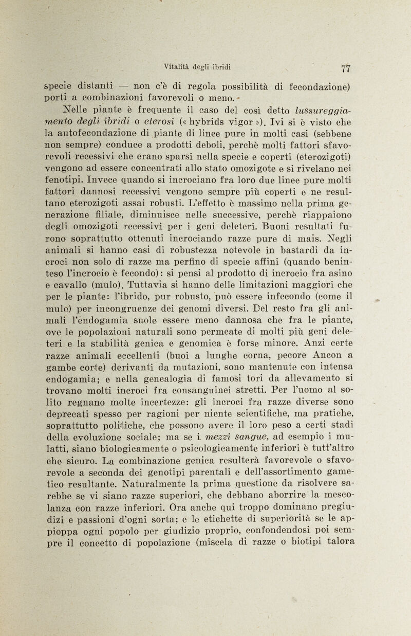 specie distanti — non c'è di regola possibilità di fecondazione) porti a combinazioni favorevoli o meno. Nelle piante è frequente il caso del così detto lussureggia- mento degli ibridi o eterosi («hybrids vigor»). Ivi si è visto che la autofecondazione di piante di linee pure in molti casi (sebbene non sempre) conduce a prodotti deboli, perchè molti fattori sfavo revoli recessivi che erano sparsi nella specie e coperti (eterozigoti) vengono ad essere concentrati allo stato omozigote e si rivelano nei fenotipi. Invece quando si incrociano fra loro due linee pure molti fattori dannosi recessivi vengono sempre più coperti e ne resul tano eterozigoti assai robusti. L'effetto è massimo nella prima ge nerazione filiale, diminuisce nelle successive, perchè riappaiono degli omozigoti recessivi per i geni deleteri. Buoni resultati fu rono soprattutto ottenuti incrociando razze pure di mais. Negli animali si hanno casi di robustezza notevole in bastardi da in croci non solo di razze ma perfino di specie affini (quando benin teso l'incrocio è fecondo) : si pensi al prodotto di incrocio fra asino e cavallo (mulo). Tuttavia si hanno delle limitazioni maggiori che per le piante: l'ibrido, pur robusto, può essere infecondo (come il mulo) per incongruenze dei genomi diversi. Del resto fra gli ani mali l'endogamia suole essere meno dannosa che fra le piante, ove le popolazioni naturali sono permeate di molti più geni dele teri e la stabilità genica e genomica è forse minore. Anzi certe razze animali eccellenti (buoi a lunghe corna, pecore Ancon a gambe corte) derivanti da mutazioni, sono mantenute con intensa endogamia; e nella genealogia di famosi tori da allevamento si trovano molti incroci fra consanguinei stretti. Per l'uomo al so lito regnano molte incertezze: gli incroci fra razze diverse sono deprecati spesso per ragioni per niente scientifiche, ma pratiche, soprattutto politiche, che possono avere il loro peso a certi stadi della evoluzione sociale; ma se i. mezzi sangue, ad esempio i mu latti, siano biologicamente o psicologicamente inferiori è tutt'altro che sicuro. La combinazione genica resulterà favorevole o sfavo revole a seconda dei genotipi parentali e dell'assortimento game- tico resultante. Naturalmente la prima questione da risolvere sa rebbe se vi siano razze superiori, che debbano aborrire la mesco lanza con razze inferiori. Ora anche qui troppo dominano pregiu dizi e passioni d'ogni sorta; e le etichette di superiorità se le ap pioppa ogni popolo per giudizio proprio, confondendosi poi sem pre il concetto di popolazione (miscela di razze o biotipi talora