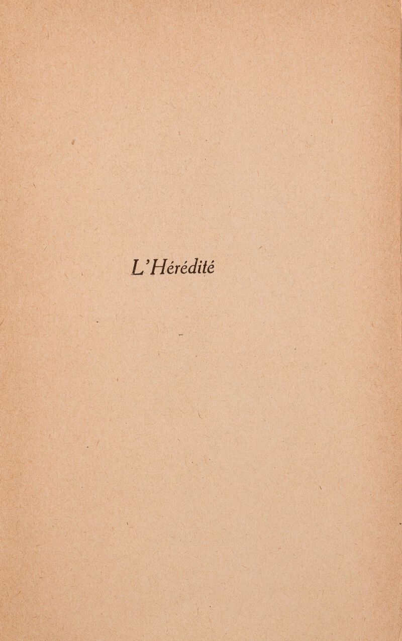 ^ Ч ' . V < 1 • l 4 ' ■ n:, Mr. ' л ;'4*V» ;': ' k,^', 1 i:' : er. 'ñ$C \' ■ V Viv'* # * 2^ / L'Hérédité ' 4V.- ^ 'Î / V Ш4 5 :■ i'fi-iapAll 'sm$m lïilp 'IÉÂ Г., V, V i л ^ - *1 jw-lf,: ..- ^ ; ' ' V ^ - ri V ^ 'S йж - ■ '.* '^Чт к i