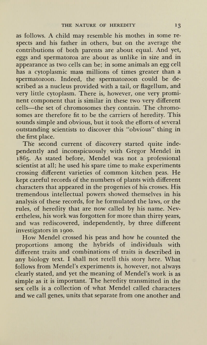 THE NATURE OF HEREDITY 13 as follows. A child may resemble his mothei in some re¬ spects and his father in others, but on the average the contributions of both parents are about equal. And yet, eggs and spermatozoa are about as unlike in size and in appearance as two cells can be; in some animals an egg cell has a cytoplasmic mass millions of times greater than a spermatozoon. Indeed, the spermatozoon could be de¬ scribed as a nucleus provided with a tail, or flagellum, and very little cytoplasm. There is, however, one very promi¬ nent component that is similar in these two very different cells—the set of chromosomes they contain. The chromo¬ somes are therefore fit to be the carriers of heredity. This sounds simple and obvious, but it took the efforts of several outstanding scientists to discover this obvious thing in the first place. The second current of discovery started quite inde¬ pendently and inconspicuously with Gregor Mendel in 1865. As stated before, Mendel was not a professional scientist at all; he used his spare time to make experiments crossing different varieties of common kitchen peas. He kept careful records of the numbers of plants with different characters that appeared in the progenies of his crosses. His tremendous intellectual powers showed themselves in his analysis of these records, for he formulated the laws, or the rules, of heredity that are now called by his name. Nev¬ ertheless, his work was forgotten for more than thirty years, and was rediscovered, independently, by three different investigators in 1900. How Mendel crossed his peas and how he counted the proportions among the hybrids of individuals with different traits and combinations of traits is described in any biology text. I shall not retell this story here. What follows from Mendel's experiments is, however, not always clearly stated, and yet the meaning of Mendel's work is as simple as it is important. The heredity transmitted in the sex cells is a collection of what Mendel called characters and we call genes, units that separate from one another and