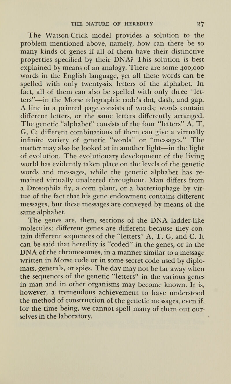 THE NATURE OF HEREDITY 27 The Watson-Crick model provides a solution to the problem mentioned above, namely, how can there be so many kinds of genes if all of them have their distinctive properties specified by their DNA? This solution is best explained by means of an analogy. There are some 400,000 words in the English language, yet all these words can be spelled with only twenty-six letters of the alphabet. In fact, all of them can also be spelled with only three let¬ ters—in the Morse telegraphic code's dot, dash, and gap. A line in a printed page consists of words; words contain different letters, or the same letters differently arranged. The genetic alphabet consists of the four letters A, T, G, C; different combinations of them can give a virtually infinite variety of genetic words or messages. The matter may also be looked at in another light—in the light of evolution. The evolutionary development of the living world has evidently taken place on the levels of the genetic words and messages, while the genetic alphabet has re¬ mained virtually unaltered throughout. Man differs from a Drosophila fly, a corn plant, or a bacteriophage by vir¬ tue of the fact that his gene endowment contains different messages, but these messages are conveyed by means of the same alphabet. The genes are, then, sections of the DNA ladder-like molecules; different genes are different because they con¬ tain different sequences of the letters A, T, G, and C. It can be said that heredity is coded in the genes, or in the DNA of the chromosomes, in a manner similar to a message written in Morse code or in some secret code used by diplo¬ mats, generals, or spies. The day may not be far away when the sequences of the genetic letters in the various genes in man and in other organisms may become known. It is, however, a tremendous achievement to have understood the method of construction of the genetic messages, even if, for the time being, we cannot spell many of them out our¬ selves in the laboratory.