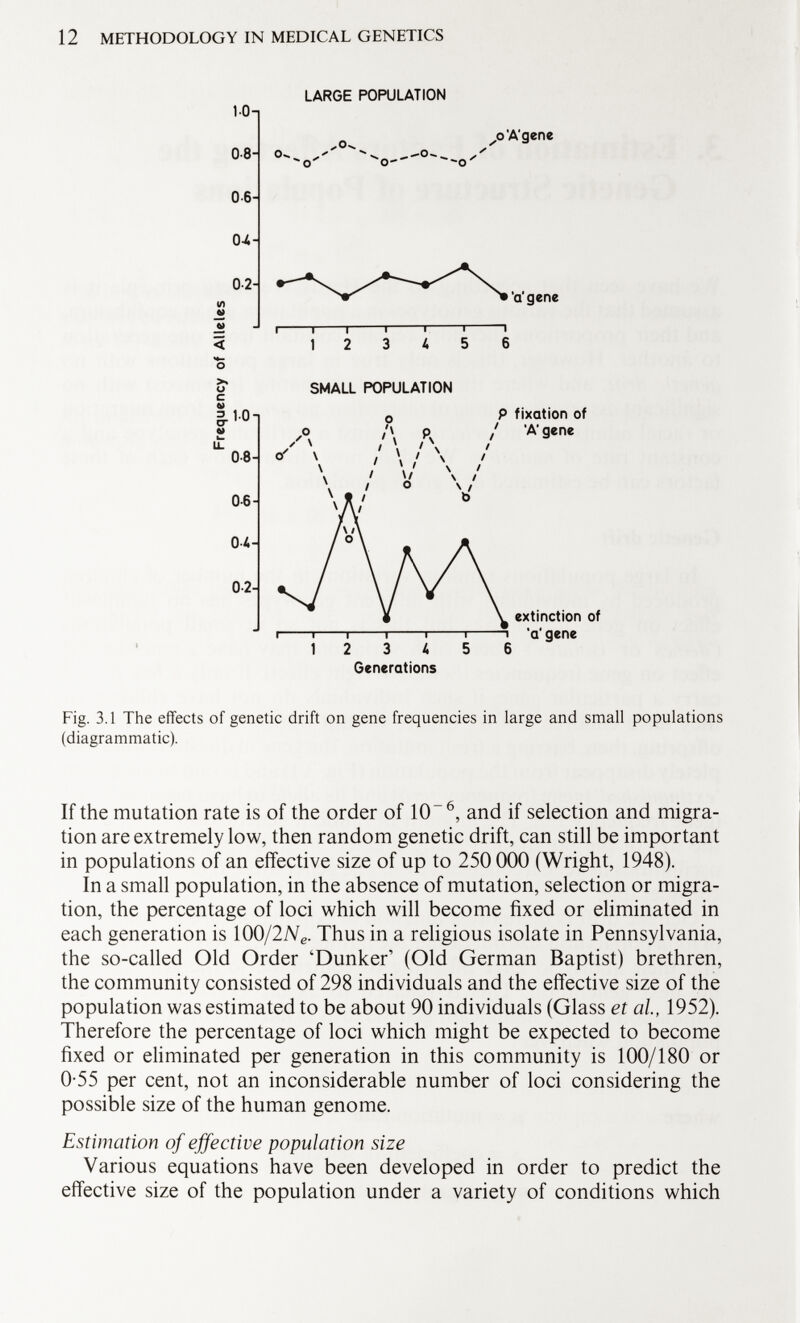 10 0-8H 0-6- 0-4- 0-2- in < H— O >* u 11.0- V L_ LL 0-8- 0-6- 04- 0-2- LARGE POPULATION o- ^ o ^oA'gene a gene -i 1 1 1 1 i 12 3 4 5 6 SMALL POPULATION P fixation of / A' gene extinction of -i 1 1 1 r- 12 3 4 5 Generations -i a gene 6 Fig. 3.1 The effects of genetic drift on gene frequencies in large and small populations (diagrammatic). If the mutation rate is of the order of 10 ~ 6 , and if selection and migra tion are extremely low, then random genetic drift, can still be important in populations of an effective size of up to 250 000 (Wright, 1948). In a small population, in the absence of mutation, selection or migra tion, the percentage of loci which will become fixed or eliminated in each generation is 100/2N e . Thus in a religious isolate in Pennsylvania, the so-called Old Order 'Dunker' (Old German Baptist) brethren, the community consisted of 298 individuals and the effective size of the population was estimated to be about 90 individuals (Glass et ai., 1952). Therefore the percentage of loci which might be expected to become fixed or eliminated per generation in this community is 100/180 or 0-55 per cent, not an inconsiderable number of loci considering the possible size of the human genome. Estimation of effective population size Various equations have been developed in order to predict the effective size of the population under a variety of conditions which