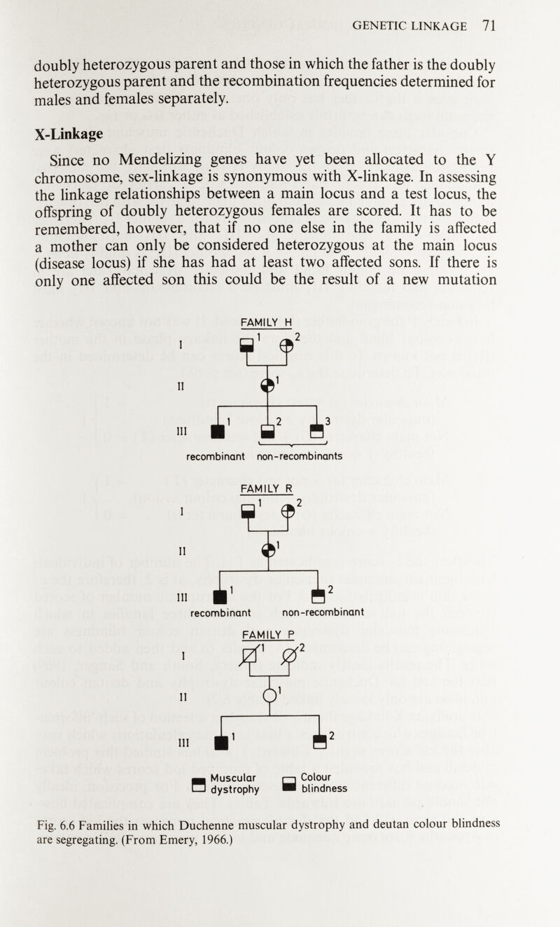 doubly heterozygous parent and those in which the father is the doubly heterozygous parent and the recombination frequencies determined for males and females separately. X-Linkage Since no Mendelizing genes have yet been allocated to the Y chromosome, sex-linkage is synonymous with X-linkage. In assessing the linkage relationships between a main locus and a test locus, the offspring of doubly heterozygous females are scored. It has to be remembered, however, that if no one else in the family is affected a mother can only be considered heterozygous at the main locus (disease locus) if she has had at least two affected sons. If there is only one affected son this could be the result of a new mutation FAMILY H 1 a 1 e 2 m £ recombinant non-recombinants FAMILY R a 1 e 2 III i- À recombinant non-recombinant FAMILY P II III Muscular dystrophy H Colour blindness Fig. 6.6 Families in which Duchenne muscular dystrophy and deutan colour blindness are segregating. (From Emery, 1966.)