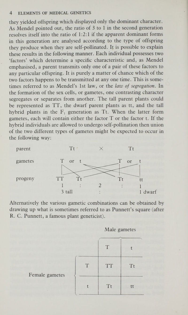 6 ELEMENTS OF MEDICAL GENETICS was sent to at least 120 learned societies, academies, and libraries. It appears more likely that scientists in the mid-nineteenth century were simply not prepared for this work. Mendel's contemporaries were preoccupied with Darwin's theory of evolution and the nature of species. Possibly they misinterpreted Mendel's work as a confused attempt to investigate their own problems. Even Carl Nägeli, a world authority on plant hybridisation, failed to see the significance of Mendel's results and Nägeli was Mendel's close friend and advisor. It seems that a young Russian botanist, Ivan Fyodorovich Schmalhausen, was the only contemporary who understood the sig¬ nificance of Mendel's work and referred to it in his doctoral disser¬ tation. However Mendel's laws of heredity remained largely unknown until 1900 when, within the space of a few months, they were independently rediscovered by three biologists: Hugo de Vries, Professor of Botany in the University of Amsterdam, Carl Correns, a botanist at the University of Tübingen, and Erich von Tschermak- Seysenegg an assistant in the agricultural experimental station at Esslingen near Vienna. All three investigations quite independently arrived at the same conclusion as Mendel had. It is a matter for regret that Mendel died 16 years before his work became generally recognised as being among the most important scientific discoveries of all time. THE CHROMOSOME THEORY OF INHERITANCE As interest in 'Mendelian Inheritance' grew there was much spec¬ ulation about its physical basis. It was well known that plants and animals were composed of millions of cells, and that each cell con¬ tained a nucleus and that within the nucleus were a number of min¬ ute threadlike structures called chromosomes, so called because of their affinity for certain stains (chroma = colour). But until 1903 when Walter S. Sutton and Theodor Boveri independently proposed the chromosome theory of heredity, the association between these minute structures and the phenomenon of inheritance had not been recognised. According to this theory the chromosomes carry the hereditary factors or genes, and the behaviour of the chromosomes at cell divison provides the explanation for Mendelian inheritance. The chromosome theory of inheritance is one of the most important concepts in biology, and will be discussed in more detail later. It is interesting to note that Sutton made this major contribution while still a medical student. He later became a surgeon and died at the age of 39 from appendicitis, without ever returning to the field of