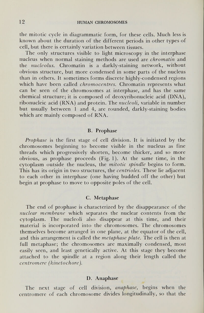 12 HUMAN CHROMOSOMES the mitotic cycle in diagrammatic form, for these cells. Much less is known about the duration of the different periods in other types of cell, but there is certainly variation between tissues. The only structures visible to light microscopy in the interphase nucleus when normal staining methods are used are chromatin and the nucleolus. Chromatin is a darkly-staining network, without obvious structure, but more condensed in some parts of the nucleus than in others. It sometimes forms discrete highly-condensed regions which have been called chromocentres. Chromatin represents what can be seen of the chromosomes at interphase, and has the same chemical structure; it is composed of deoxyribonucleic acid (DNA), ribonucleic acid (RNA) and protein. The nucleoli, variable in number but usually between 1 and 4, are rounded, darkly-staining bodies which are mainly composed of RNA. В. Prophase Prophase is the first stage of cell division. It is initiated by the chromosomes beginning to become visible in the nucleus as fine threads which progressively shorten, become thicker, and so more obvious, as prophase proceeds (Fig. 1). At the same time, in the cytoplasm outside the nucleus, the mitotic spindle begins to form. This has its origin in two structures, the centrioles. These lie adjacent to each other in interphase (one having budded off the other) but begin at prophase to move to opposite poles of the cell. C. Metaphase The end of prophase is characterized by the disappearance of the nuclear membrane which separates the nuclear contents from the cytoplasm. The nucleoli also disappear at this time, and their material is incorporated into the chromosomes. The chromosomes themselves become arranged in one plane, at the equator of the cell, and this arrangement is called the metaphase plate. The cell is then at full metaphase; the chromosomes are maximally condensed, most easily seen, and least genetically active. At this stage they become attached to the spindle at a region along their length called the centromere (kinetochore). D. Anaphase The next stage of cell division, anaphase, begins when the centromere of each chromosome divides longitudinally, so that the