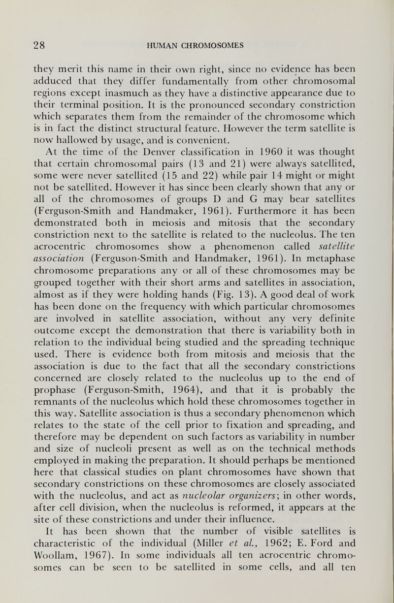 28 HUMAN CHROMOSOMES they merit this name in their own right, since no evidence has been adduced that they differ fundamentally from other chromosomal regions except inasmuch as they have a distinctive appearance due to their terminal position. It is the pronounced secondary constriction which separates them from the remainder of the chromosome which is in fact the distinct structural feature. However the term satellite is now hallowed by usage, and is convenient. At the time of the Denver classification in I960 it was thought that certain chromosomal pairs (13 and 21) were always satellited, some were never satellited (15 and 22) while pair 14 might or might not be satellited. However it has since been clearly shown that any or all of the chromosomes of groups D and G may bear satellites (Ferguson-Smith and Handmaker, 1961). Furthermore it has been demonstrated both in meiosis and mitosis that the secondary constriction next to the satellite is related to the nucleolus. The ten acrocentric chromosomes show a phenomenon called satellite association (Ferguson-Smith and Handmaker, 1961). In metaphase chromosome preparations any or all of these chromosomes may be grouped together with their short arms and satellites in association, almost as if they were holding hands (Fig. 13). A good deal of work has been done on the frequency with which particular chromosomes are involved in satellite association, without any very definite outcome except the demonstration that there is variability both in relation to the individual being studied and the spreading technique used. There is evidence both from mitosis and meiosis that the association is due to the fact that all the secondary constrictions concerned are closely related to the nucleolus up to the end of prophase (Ferguson-Smith, 1964), and that it is probably the remnants of the nucleolus which hold these chromosomes together in this way. Satellite association is thus a secondary phenomenon which relates to the state of the cell prior to fixation and spreading, and therefore may be dependent on such factors as variability in number and size of nucleoli present as well as on the technical methods employed in making the preparation. It should perhaps be mentioned here that classical studies on plant chromosomes have shown that secondary constrictions on these chromosomes are closely associated with the nucleolus, and act as nucleolar organizers', in other words, after cell division, when the nucleolus is reformed, it appears at the site of these constrictions and under their influence. It has been shown that the number of visible satellites is characteristic of the individual (Miller et ai, 1962; E. Ford and Woollam, 1967). In some individuals all ten acrocentric chromo¬ somes can be seen to be satellited in some cells, and all ten