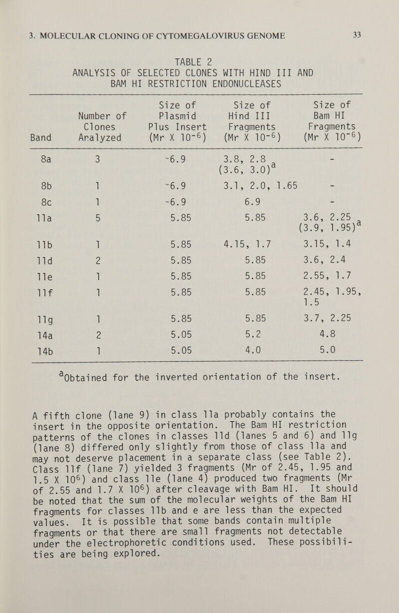 3. MOLECULAR CLONING OF CYTOMEGALOVIRUS GENOME 33 TABLE 2 ANALYSIS OF SELECTED CLONES WITH HIND III AND BAM HI RESTRICTION ENDONUCLEASES ^Obtained for the inverted orientation of the insert. A fifth clone (lane 9) in class lia probably contains the insert in the opposite orientation. The Bam HI restriction patterns of the clones in classes lid (lanes 5 and 6) and llg (lane 8) differed only slightly from those of class 11a and may not deserve placement in a separate class (see Table 2). Class llf (lane 7) yielded 3 fragments (Mr of 2.45, 1.95 and 1.5 X 10^) and class lie (lane 4) produced two fragments (Mr of 2.55 and 1.7 X 10^) after cleavage with Bam HI. It should be noted that the sum of the molecular weights of the Bam HI fragments for classes lib and e are less than the expected values. It is possible that some bands contain multiple fragments or that there are small fragments not detectable under the electrophoretic conditions used. These possibili¬ ties are being explored.
