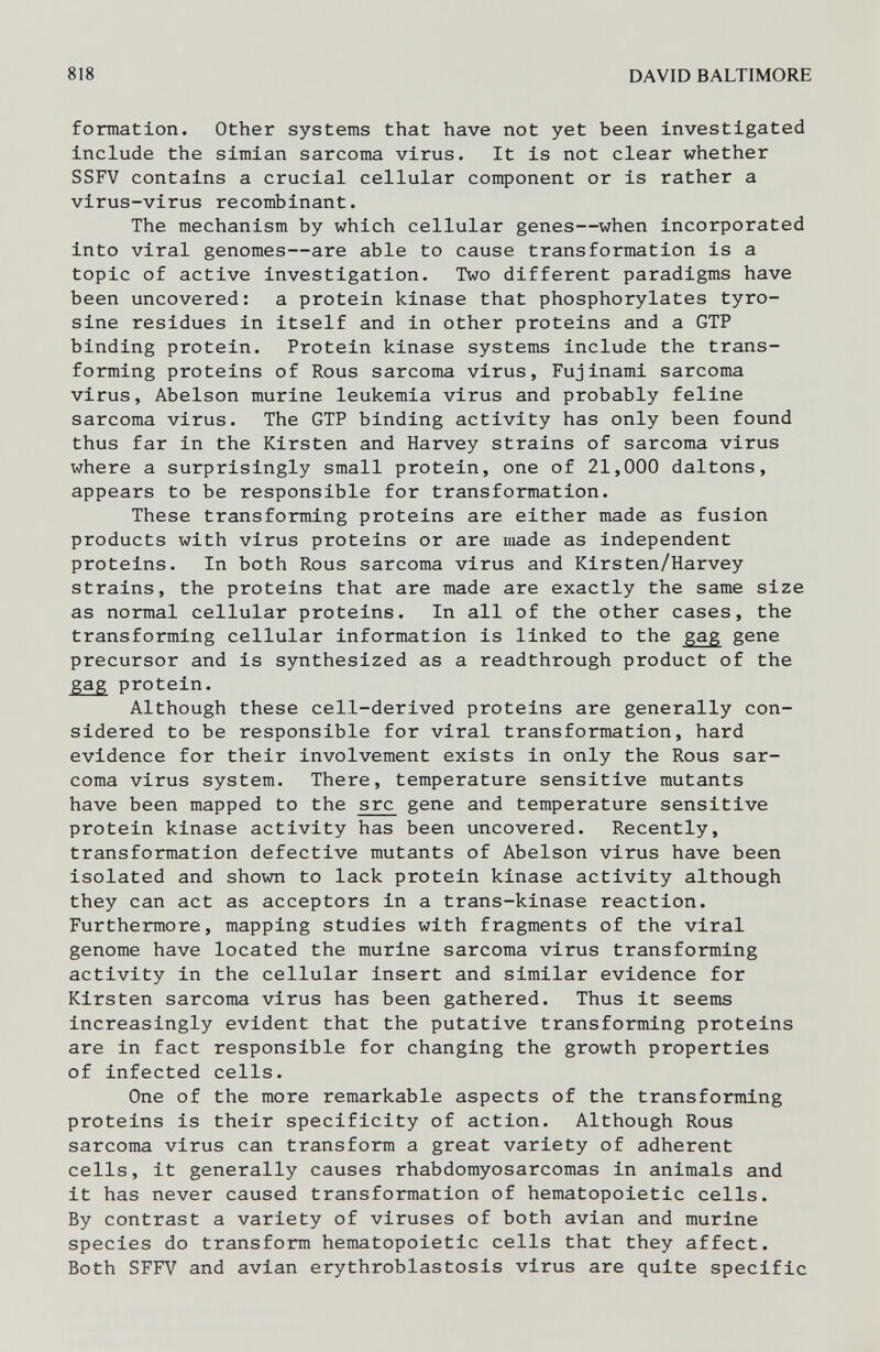 818 DAVID BALTIMORE fomnatlon. Other systems that have not yet been investigated include the simian sarcoma virus. It is not clear whether SSFV contains a crucial cellular component or is rather a virus-virus recombinant. The mechanism by which cellular genes—when incorporated into viral genomes—are able to cause transformation is a topic of active investigation. Two different paradigms have been uncovered: a protein kinase that phosphorylates tyro¬ sine residues in itself and in other proteins and a GTP binding protein. Protein kinase systems include the trans¬ forming proteins of Rous sarcoma virus, Fujinami sarcoma virus, Abelson murine leukemia virus and probably feline sarcoma virus. The GTP binding activity has only been found thus far in the Kirsten and Harvey strains of sarcoma virus where a surprisingly small protein, one of 21,000 daltons, appears to be responsible for transformation. These transforming proteins are either made as fusion products with virus proteins or are made as independent proteins. In both Rous sarcoma virus and Kirsten/Harvey strains, the proteins that are made are exactly the same size as normal cellular proteins. In all of the other cases, the transforming cellular information is linked to the gag gene precursor and is synthesized as a readthrough product of the gag protein. Although these cell-derived proteins are generally con¬ sidered to be responsible for viral transformation, hard evidence for their involvement exists in only the Rous sar¬ coma virus system. There, temperature sensitive mutants have been mapped to the src gene and temperature sensitive protein kinase activity has been uncovered. Recently, transformation defective mutants of Abelson virus have been isolated and shown to lack protein kinase activity although they can act as acceptors in a trans-kinase reaction. Furthermore, mapping studies with fragments of the viral genome have located the murine sarcoma virus transforming activity in the cellular insert and similar evidence for Kirsten sarcoma virus has been gathered. Thus it seems increasingly evident that the putative transforming proteins are in fact responsible for changing the growth properties of infected cells. One of the more remarkable aspects of the transforming proteins is their specificity of action. Although Rous sarcoma virus can transform a great variety of adherent cells, it generally causes rhabdomyosarcomas in animals and it has never caused transformation of hematopoietic cells. By contrast a variety of viruses of both avian and murine species do transform hematopoietic cells that they affect. Both SFFV and avian erythroblastosis virus are quite specific
