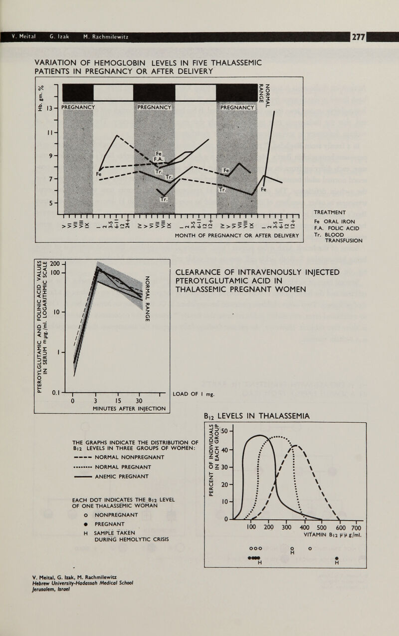 V. Meital G. Izak M. Rachmilewitz 277 VARIATION OF HEMOGLOBIN LEVELS IN FIVE THALASSEMIC PATIENTS IN PREGNANCY OR AFTER DELIVERY TREATMENT Fe ORAL IRON F.A. FOLIC ACID Tr. BLOOD TRANSFUSION CLEARANCE OF INTRAVENOUSLY INJECTED PTEROYLGLUTAMIC ACID IN THALASSEMIC PREGNANT WOMEN LOAD OF I mg. В,2 LEVELS IN THALASSEMIA THE GRAPHS INDICATE THE DISTRIBUTION OF B|2 LEVELS IN THREE GROUPS OF WOMEN: - NORMAL NONPREGNANT  NORMAL PREGNANT — ANEMIC PREGNANT EACH DOT INDICATES THE B12 LEVEL OF ONE THALASSEMIC WOMAN О NONPREGNANT • PREGNANT H SAMPLE TAKEN DURING HEMOLYTIC CRISIS V. Melul, G. Ixak. M. Rachmllewla Hebrew Unlvenity-Hadassah Medical School Jerusalem, Israel