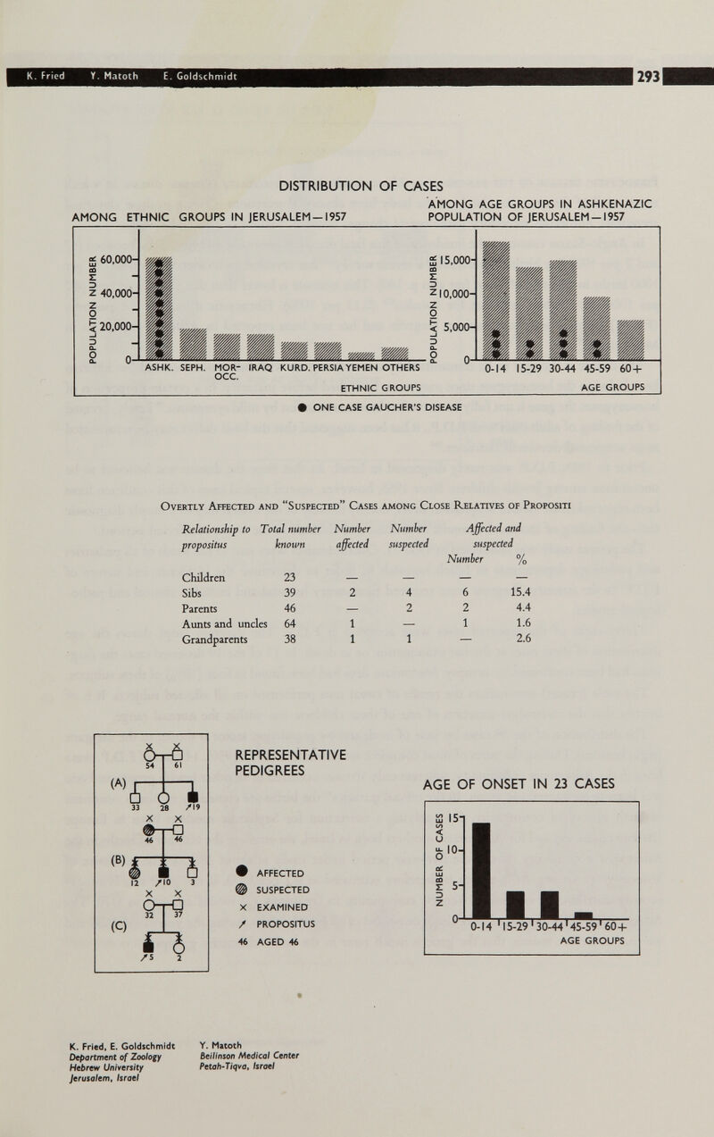 к. Fried Y. Matoth E. Goldschmidt 293 DISTRIBUTION OF CASES AMONG AGE GROUPS IN ASHKENAZIC AMONG ETHNIC GROUPS IN JERUSALEM-1957 POPULATION OF JERUSALEM-1957 • ONE CASE GAUCHER'S DISEASE Overtly Affected and Suspected Cases among Close Relatives of Propositi (A) à О è 33 M /19 X X (В) (С) 12 /10 3 X X 324^ /5 2 REPRESENTATIVE PEDIGREES AGE OF ONSET IN 23 CASES • AFFECTED @ SUSPECTED X EXAMINED / PROPOSITUS 46 AGED 46 Î2 15 (/) < u ^ lO-l 111- 0-14 '15-29'30-44'4S-S9'60+ AGE GROUPS K. Fried. E. Goldschmidt Deportment of Zoology Hebrew University Jerusalem, Israel Y. Matoth Beillnson Medical Center Petah'Tiqva, Israel