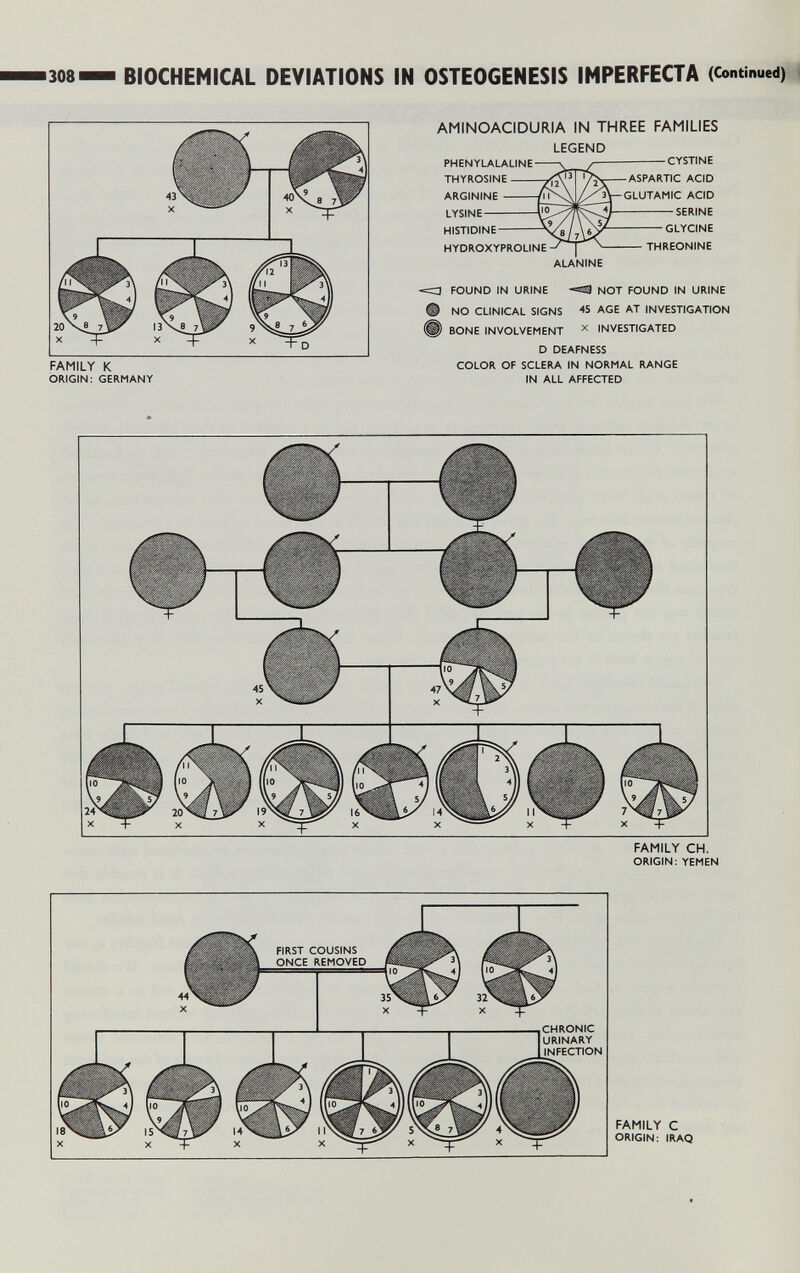 308 BIOCHEMICAL DEVIATIONS IN OSTEOGENESIS IMPERFECTA (Continued) \ FAMILY К ORIGIN: GERMANY AMINOACIDURIA IN THREE FAMILIES LEGEND PHENYLALALINE- THYROSINE - ARGININE - LYSINE- HISTIDINE HYDROXYPROLINE -CYSTINE ASPARTIC ACID GLUTAMIC ACID SERINE GLYCINE • THREONINE ALANINE FOUND IN URINE NOT FOUND IN URINE NO CLINICAL SIGNS ^5 AGE AT INVESTIGATION BONE INVOLVEMENT ^ INVESTIGATED D DEAFNESS COLOR OF SCLERA IN NORMAL RANGE IN ALL AFFECTED FAMILY CH. ORIGIN: YEMEN FAMILY С ORIGIN: IRAQ