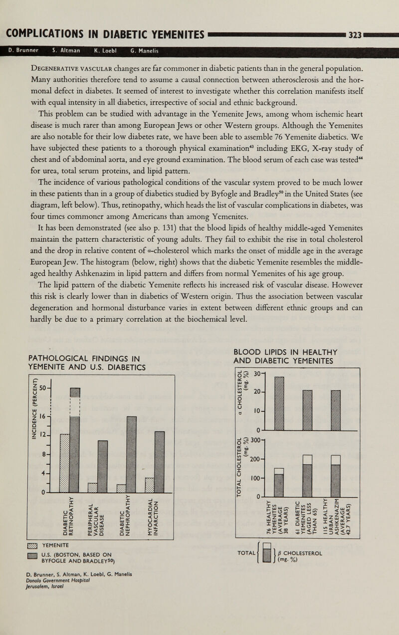 COMPLICATIONS IN DIABETIC YEMENITES 323 D. Brunner S. Altman К. Loebl G. Manelts Degenerative vascular changes are far commoner in diabetic patients than in the general population. Many authorities therefore tend to assume a causal connection between atherosclerosis and the hor¬ monal defect in diabetes. It seemed of interest to investigate whether this correlation manifests itself with equal intensity in all diabetics, irrespective of social and ethnic background. This problem can be studied with advantage in the Yemenite Jews, among whom ischemic heart disease is much rarer than among European Jews or other Western groups. Although the Yemenites are also notable for their low diabetes rate, we have been able to assemble 76 Yemenite diabetics. We have subjected these patients to a thorough physical examination*' including EKG, X-ray study of chest and of abdominal aorta, and eye ground examination. The blood serum of each case was tested for urea, total serum proteins, and lipid pattern. The incidence of various pathological conditions of the vascular system proved to be much lower in these patients than in a group of diabetics studied by Byfogle and Bradley in the United States (see diagram, left below). Thus, retinopathy, which heads the hst of vascular complications in diabetes, was four times commoner among Americans than among Yemenites. It has been demonstrated (see also p. 131) that the blood lipids of healthy middle-aged Yemenites maintain the pattern characteristic of young adults. They fail to exhibit the rise in total cholesterol and the drop in relative content of a-cholesterol which marks the onset of middle age in the average European Jew. The histogram (below, right) shows that the diabetic Yemenite resembles the middle- aged healthy Ashkenazim in hpid pattern and differs from normal Yemenites of his age group. The lipid pattern of the diabetic Yemenite reflects his increased risk of vascular disease. However this risk is clearly lower than in diabetics of Western origin. Thus the association between vascular degeneration and hormonal disturbance varies in extent between different ethnic groups and can hardly be due to a primary correlation at the biochemical level. PATHOLOGICAL FINDINGS IN YEMENITE AND U.S. DIABETICS BLOOD LIPIDS IN HEALTHY AND DIABETIC YEMENITES ¡2J3 YEMENITE Д U.S. (BOSTON, BASED ON BYFOGLE AND BRADLEY50) D. Brunner, S. Altman, К. Loebli G. Manelis Donalo Covtrnment Hospital Jerusalem, Israel