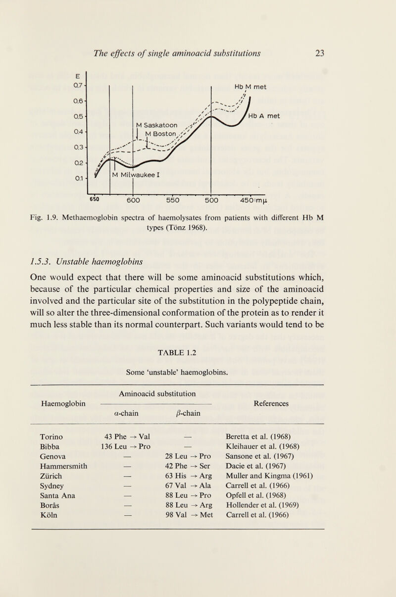 The effects of single aminoacid substitutions 23 Fig. 1.9. Methaemoglobin spectra of haemolysates from patients with different Hb M types (Tönz 1968). 1.5.3. Unstable haemoglobins One would expect that there will be some aminoacid substitutions which, because of the particular chemical properties and size of the aminoacid involved and the particular site of the substitution in the polypeptide chain, will so alter the three-dimensional conformation of the protein as to render it much less stable than its normal counterpart. Such variants would tend to be TABLE 1.2 Some 'unstable' haemoglobins. Aminoacid substitution Haemoglobin  References a-chain /3-chain Torino 43 Phe -> Val — Beretta et ai. (1968) Bibba 136Leu->Pro — Kleihauer et al. (1968) Genova — 28 Leu -> Pro Sansone et al. (1967) Hammersmith — 42 Phe Ser Dacie et al. (1967) Zürich — 63 His ->■ Arg Muller and Kingma (1961) Sydney — 67 Val ^ Ala Carrell et al. (1966) Santa Ana —■ 88 Leu -> Pro Opfell et al. (1968) Borâs — 88 Leu-9-Arg Hollender et al. (1969) Köln — 98 Val -> Met Carrell et al. (1966)