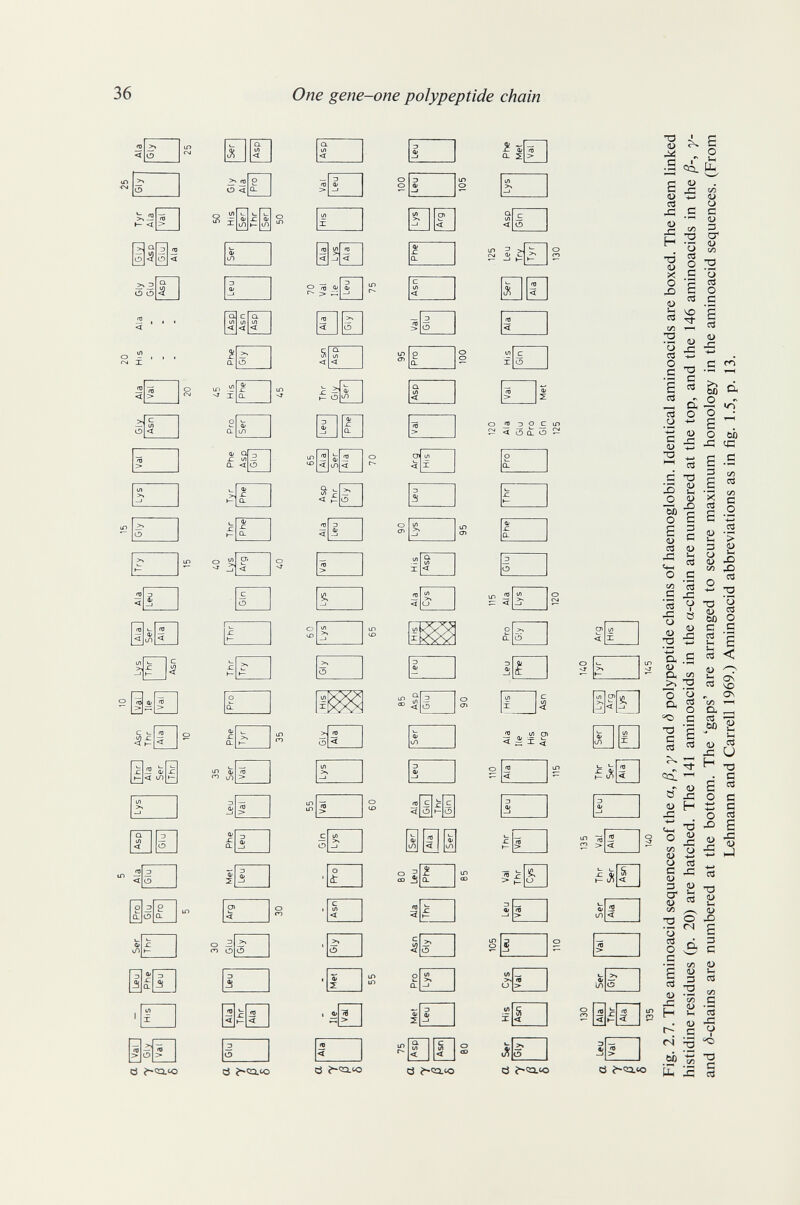 36 One gene-one polypeptide chain <0 ^ < о ^5 8 о < 0- 2 ÍQb 551^ О С) 5 с Cl Cft 1/1 < < 5á - £ X о С СП Qi W < X О «в 3 О С ю íá < О а: О - Ü) ст. >' Jî _| < а о о с о >, о. о s @âQ > fO О < 'в ^ i/i О) < = X ^ о 5 := < г|7 |>|о|> Ö d г^со-ю Ö î-ia.'o cä г~оа.ю ■m X < Л5 d г~«а.ю sR Í2 — .ад -к tí ^«0140 (J^ 2