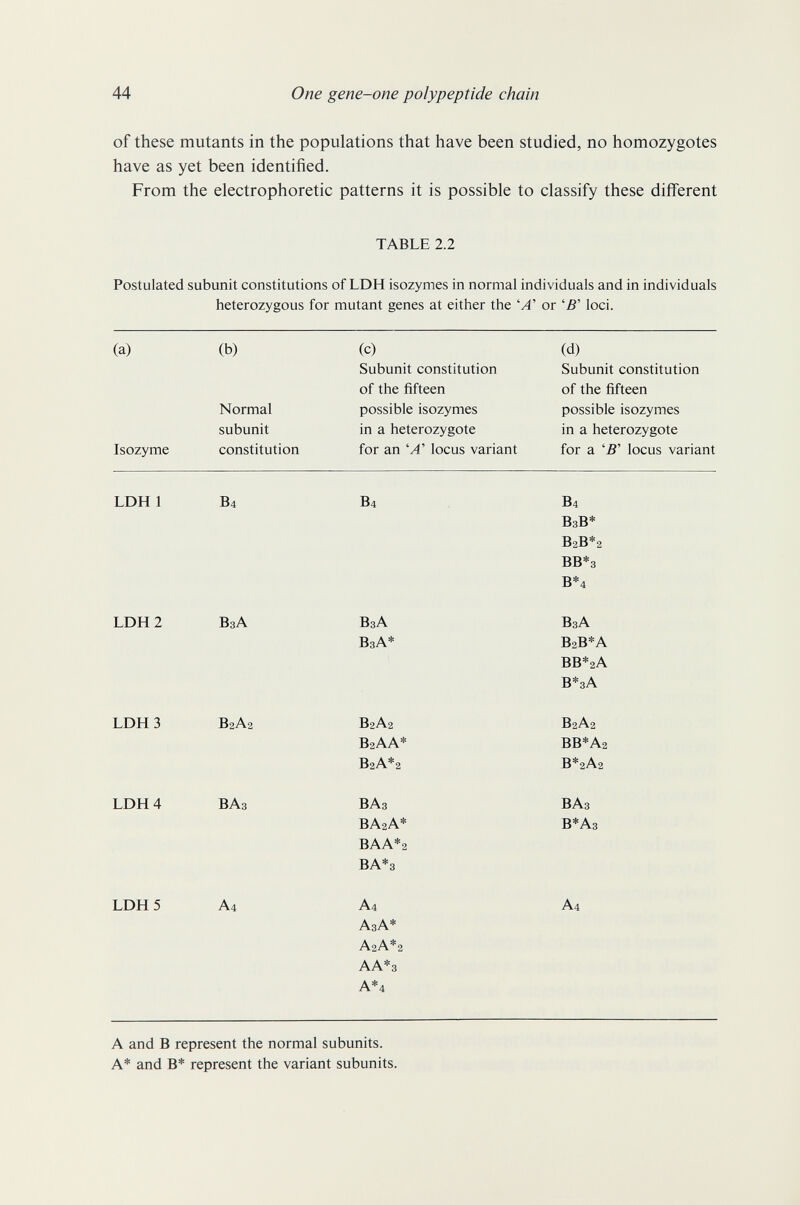 44 One gene-one polypeptide chain of these mutants in the populations that have been studied, no homozygotes have as yet been identified. From the electrophoretic patterns it is possible to classify these different TABLE 2.2 Postulated subunit constitutions of LDH isozymes in normal individuals and in individuals heterozygous for mutant genes at either the 'A' or 'B' loci.