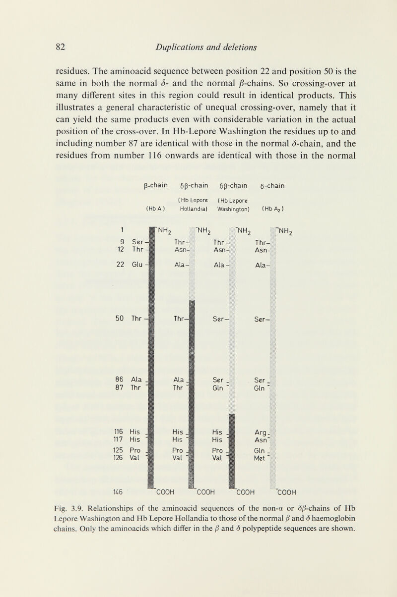 82 Duplications and deletions residues. The aminoacid sequence between position 22 and position 50 is the same in both the normal Ô- and the normal j9-chains. So crossing-over at many different sites in this region could result in identical products. This illustrates a general characteristic of unequal crossing-over, namely that it can yield the same products even with considerable variation in the actual position of the cross-over. In Hb-Lepore Washington the residues up to and including number 87 are identical with those in the normal ¿-chain, and the residues from number 116 onwards are identical with those in the normal ß-chain 6ß-chain 6ß-chain б-chain (Hb A) (Hb Lepore (Hb Lepore Hollandia) Washington) (Hb A, NH, 50 Thr- 86 Ala _ 87 Thr 116 His 117 His 125 Pro 126 Val Thr- Ala Thr His His Pro Val Ser-Ï Ser Ji Gin II His His Pro Val Ser- Ser . Gin ■ Arg Asn~ Gin . Met  Кб 'COOH COOH COOH COOH Fig. 3.9. Relationships of the aminoacid sequences of the non-a or á^S-chains of Hb Lepore Washington and Hb Lepore Hollandia to those of the normal ß and ô haemoglobin chains. Only the aminoacids which differ in the ß and <5 polypeptide sequences are shown.