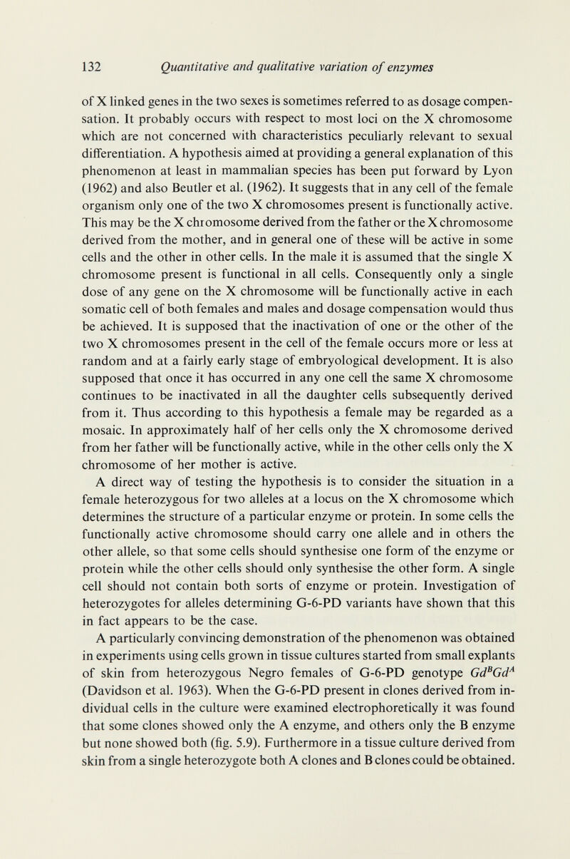 132 Quantitative and qualitative variation of enzymes of X linked genes in the two sexes is sometimes referred to as dosage compen¬ sation. It probably occurs with respect to most loci on the X chromosome which are not concerned with characteristics peculiarly relevant to sexual differentiation. A hypothesis aimed at providing a general explanation of this phenomenon at least in mammalian species has been put forward by Lyon (1962) and also Beutler et al. (1962). It suggests that in any cell of the female organism only one of the two X chromosomes present is functionally active. This may be the X chromosome derived from the father or the X chromosome derived from the mother, and in general one of these will be active in some cells and the other in other cells. In the male it is assumed that the single X chromosome present is functional in all cells. Consequently only a single dose of any gene on the X chromosome will be functionally active in each somatic cell of both females and males and dosage compensation would thus be achieved. It is supposed that the inactivation of one or the other of the two X chromosomes present in the cell of the female occurs more or less at random and at a fairly early stage of embryological development. It is also supposed that once it has occurred in any one cell the same X chromosome continues to be inactivated in all the daughter cells subsequently derived from it. Thus according to this hypothesis a female may be regarded as a mosaic. In approximately half of her cells only the X chromosome derived from her father will be functionally active, while in the other cells only the X chromosome of her mother is active. A direct way of testing the hypothesis is to consider the situation in a female heterozygous for two alleles at a locus on the X chromosome which determines the structure of a particular enzyme or protein. In some cells the functionally active chromosome should carry one allele and in others the other allele, so that some cells should synthesise one form of the enzyme or protein while the other cells should only synthesise the other form. A single cell should not contain both sorts of enzyme or protein. Investigation of heterozygotes for alleles determining G-6-PD variants have shown that this in fact appears to be the case. A particularly convincing demonstration of the phenomenon was obtained in experiments using cells grown in tissue cultures started from small expiants of skin from heterozygous Negro females of G-6-PD genotype Gd^Gd^ (Davidson et al. 1963). When the G-6-PD present in clones derived from in¬ dividual cells in the culture were examined electrophoretically it was found that some clones showed only the A enzyme, and others only the В enzyme but none showed both (fig. 5.9). Furthermore in a tissue culture derived from skin from a single heterozygote both A clones and В clones could be obtained.