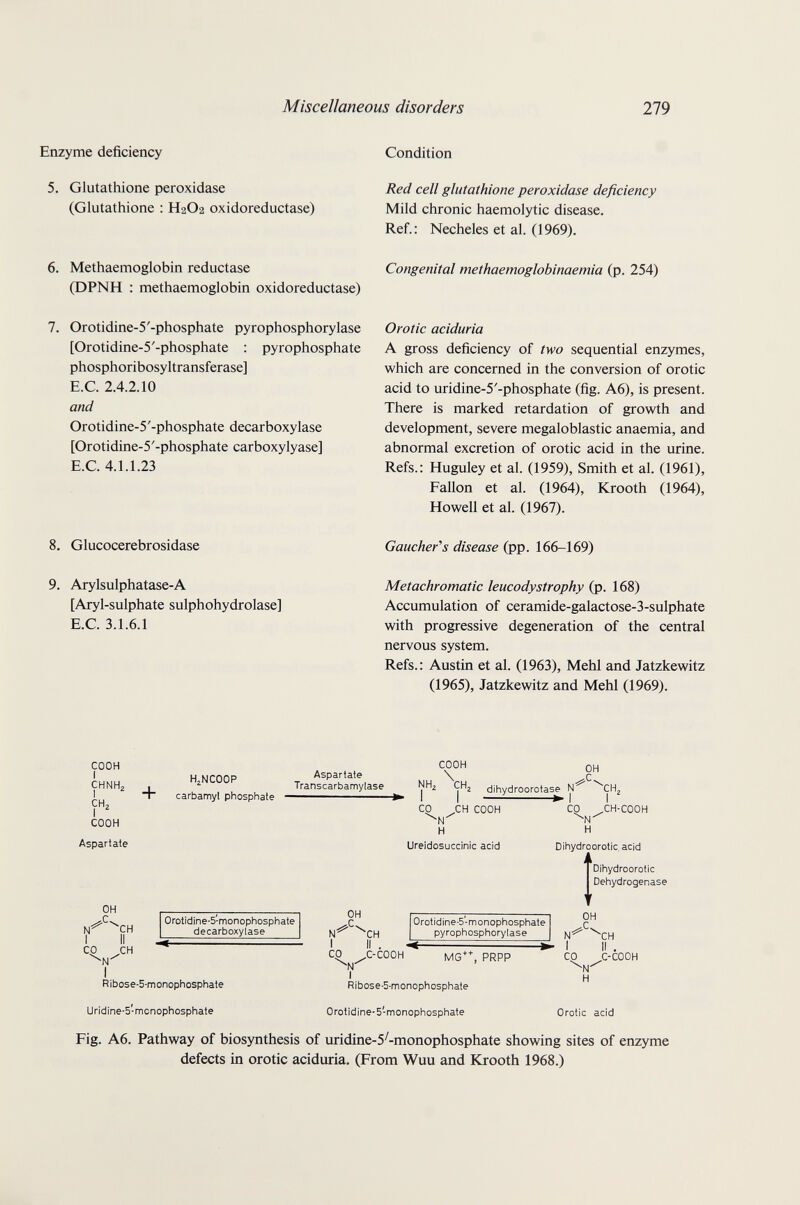 Miscellaneous disorders 279 Enzyme deficiency 5. Glutathione peroxidase (Glutathione : H2O2 oxidoreductase) 6. Methaemoglobin reductase (DPNH : methaemoglobin oxidoreductase) 7. Orotidine-5'-phosphate pyrophosphorylase [Orotidine-5'-phosphate : pyrophosphate phosphoribosyltransferase] E.G. 2.4.2.10 and Orotidine-5'-phosphate decarboxylase [Orotidine-5'-phosphate carboxylyase] E.G. 4.1.1.23 8. Glucocerebrosidase 9. Arylsulphatase-A [Aryl-sulphate sulphohydrolase] E.G. 3.1.6.1 Gondition Red cell glutathione peroxidase deficiency Mild chronic haemolytic disease. Ref.: Necheles et al. (1969). Congenital methaemoglobinaemia (p. 254) Orotic aciduria A gross deficiency of two sequential enzymes, which are concerned in the conversion of orotic acid to uridine-5'-phosphate (fig. A6), is present. There is marked retardation of growth and development, severe megaloblastic anaemia, and abnormal excretion of orotic acid in the urine. Refs.: Huguley et al. (1959), Smith et al. (1961), FaUon et al. (1964), Krooth (1964), Howell et al. (1967). Gaucher''s disease (pp. 166-169) Metachromatic leucodystrophy (p. 168) Accumulation of ceramide-galactose-3-sulphate with progressive degeneration of the central nervous system. Refs.: Austin et al. (1963), Mehl and Jatzkewitz (1965), Jatzkewitz and Mehl (1969). COOH I CHNH, I ^ CH, I COOH Asparlate OH CO CH HENCOOP + carbamyl phosphate Aspartate Transcarbamylase COOH NH2 \H, ■I I ■ CO CH COOH H Ureidosuccinic acid OH Q dihydroorotase N CHj CO ^CH-COOH H Dihydroorotic, acid IDihydroorotic Dehydrogenase N OH Ribose-5-monophosphate Uridine-S'monophosphate Ribose-5-monophosphate Orotidine-5-monophosphate XH I II , CP C-COOH H Orotic acid Fig. A6. Pathway of biosynthesis of uridine-5'-monophosphate showing sites of enzyme defects in orotic aciduria. (From Wuu and Krooth 1968.)