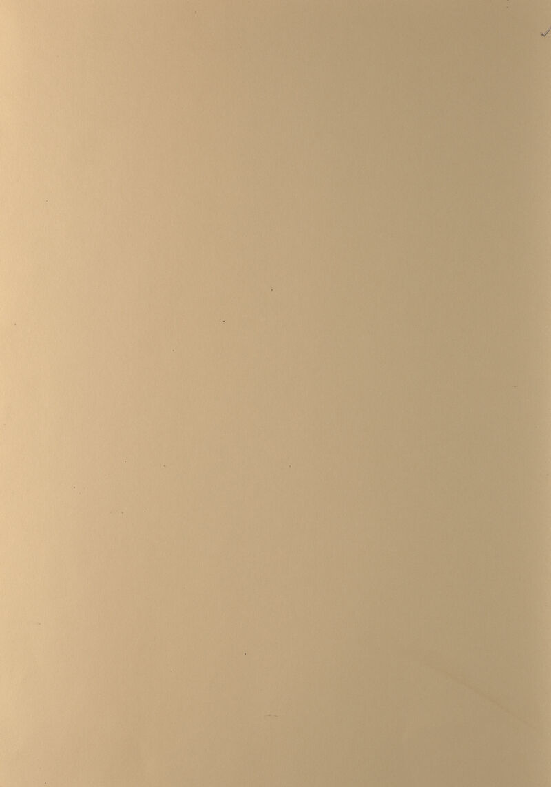 Шй