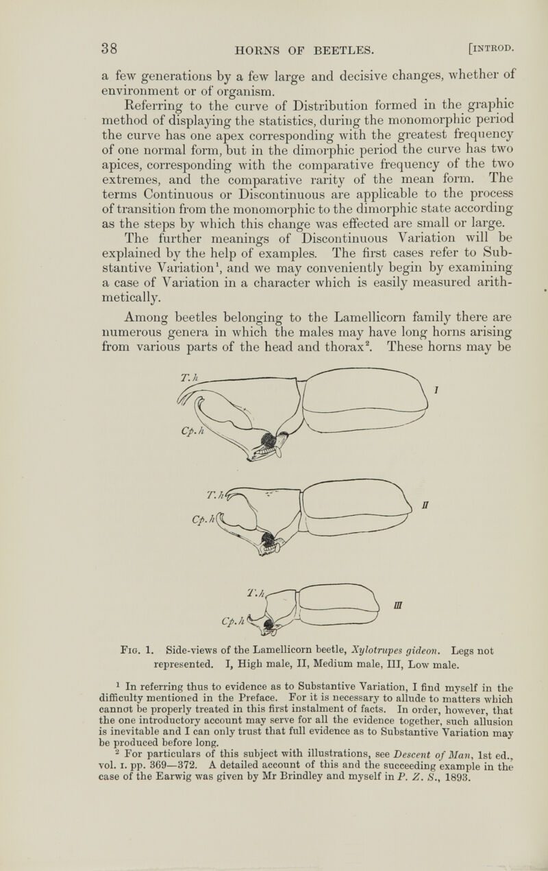 38 HORNS OF BEETLES. [introd. a few generations by a few large and decisive changes, whether of environment or of organism. Referring to the curve of Distribution formed in the graphic method of displaying the statistics, during the monomorphic period the curve has one apex corresponding with the greatest frequency of one normal form, but in the dimorphic period the curve has two apices, corresponding with the comparative frequency of the two extremes, and the comparative rarity of the mean form. The terms Continuous or Discontinuous are applicable to the process of transition from the monomorphic to the dimorphic state according as the steps by which this change was effected are small or large. The further meanings of Discontinuous Variation will be explained by the help of examples. The first cases refer to Sub¬ stantive Variation', and we may conveniently begin by examining a case of Variation in a character which is easily measured arith¬ metically. Among beetles belonging to the Lamellicorn family there are numerous genera in which the males may have long horns arising from various parts of the head and thorax®. These horns may be Cp.h Fig. 1. Side-views of the Lamellicorn beetle, Xylotm-pes gideon. Legs not represented. I, High male, II, Medium male, III, Low male. 1 In referring thus to evidence as to Substantive Variation, I find myself in the difficulty mentioned in the Preface. For it is necessary to allude to matters Avhich cannot be properly treated in this first instalment of facts. In order, however, that the one introductory account may serve for all the evidence together, such allusion is inevitable and I can only trust that full evidence as to Substantive Variation may be produced before long. 2 For particulars of this subject with illustrations, see Descent of Man, 1st ed., vol. I. pp. 369—372. A detailed account of this and the succeeding example in the case of the Earwig was given by Mr Brindley and myself in P. Z. S., 1893.