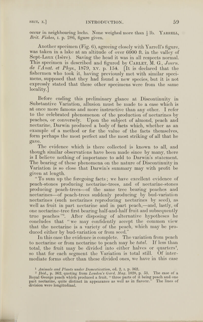 sect. x.] INTRODUCTION. 59 occur in neighbouring lochs. None weighed more than | lb. Yarrell, Brit. Fishes, i. p. 286, figure given. Another specimen (Fig. G), agreeing closely with Yarrell's figure, was taken in a lake at an altitude of over 6000 ft. in the valley of Sept-Laux (Isère). Saving the head it was in all respects normal. This specimen is described and figured by Carlet, M. G., Journ. de I'Anat. et Phys., 1879, xv. p. 154. [It is declared that the fishermen who took it, having previously met with similar speci¬ mens, supposed that they had found a new species, but it is not expressly stated that these other specimens were from the same locality.] Before ending this prelimiuary glance at Discontinuity in Substantive Variation, allusion must be made to a case which is at once more famous and more instructive than any other. I refer to the celebrated phenomenon of the production of nectarines by peaches, or conversely. Upon the subject of almond, peach and nectarine, Darwin produced a body of facts which, whether as an example of a method or for the value of the facts themselves, form perhaps the most perfect and the most striking of all that he gave. The evidence which is thei-e collected is known to all, and though similar observations have been made since by many, there is I believe nothing of importance to add to Darwin's statement. The bearing of these phenomena on the nature of Discontinuity in Variation is so close that Darwin's summary may with profit be given at length.  To sum up the foregoing facts ; we have excellent evidence of peach-stones producing nectarine-trees, and of nectarine-stones producing peach-trees—of the same tree bearing peaches and nectarines—of peach-trees suddenly producing by bud-variation nectarines (such nectarines reproducing nectarines by seed), as well as fruit in part nectarine and in part peach,—and, lastly, of one nectarine-tree first bearing half-and-half fruit and subsequently true peaches'. After disposing of alternative hypotheses he concludes that  we may confidently accept the common view that the nectarine is a variety of the peach, which may be pro¬ duced either by bud-variation or from seed. In this case the evidence is complete. The variation from peach to nectarine or from nectarine to peach may be total. If less than total, the fruit may be divided into either halves or quarters''', so that for each segment the Variation is total still. Of inter¬ mediate forms other than these divided ones, we have in this case ^ Animals and Plants under Domestication, ed. 2, i. p. 362. - Ibid., p. 362, quoting from Loudon''s Gard. Mag. 1828, p. 53. The case of a Eoyal George peach which produced a fruit,  three parts of it being peach and one part nectarine, quite distinct in appearance as well as in flavour. The lines of division were longitudinal.
